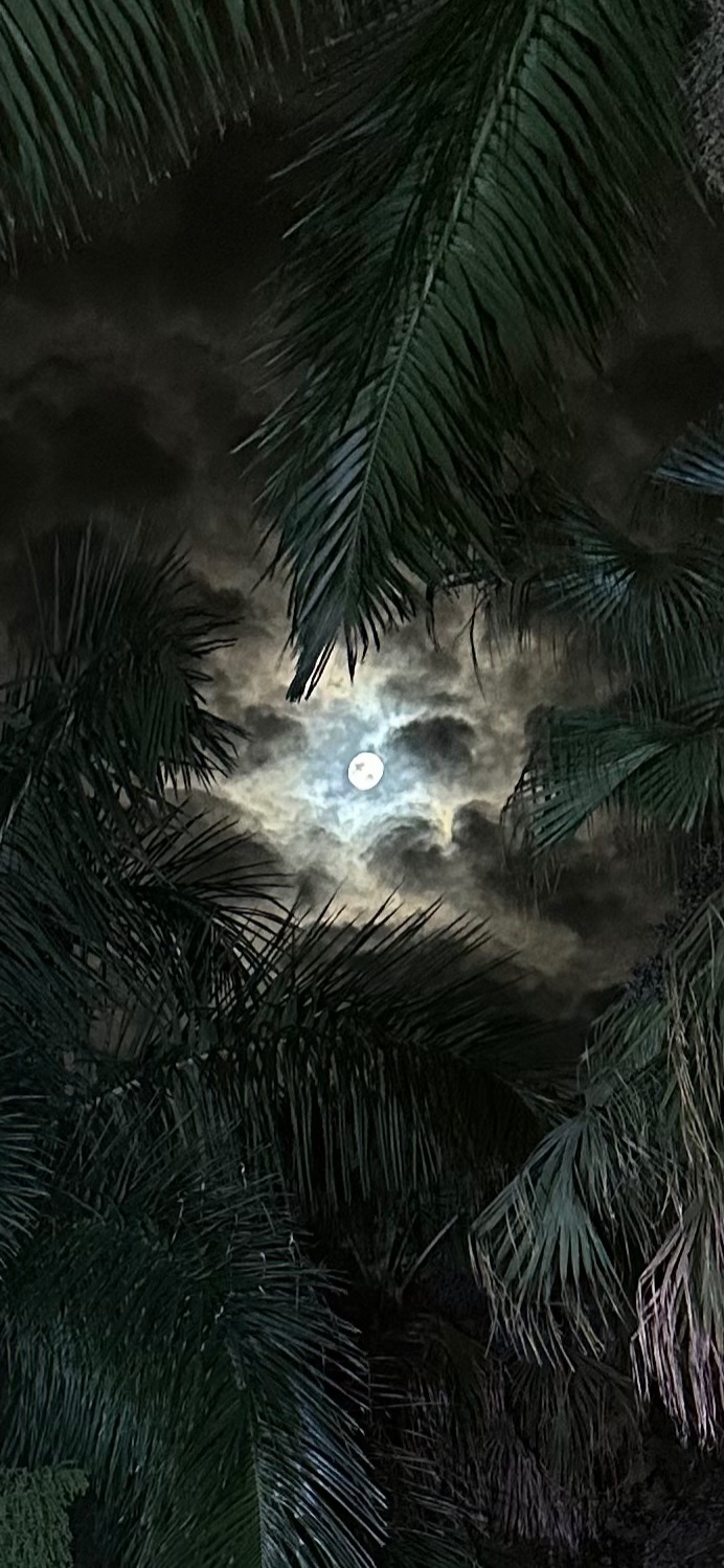 Community photo by Kathy Morton | Vero Beach, Fl, USA