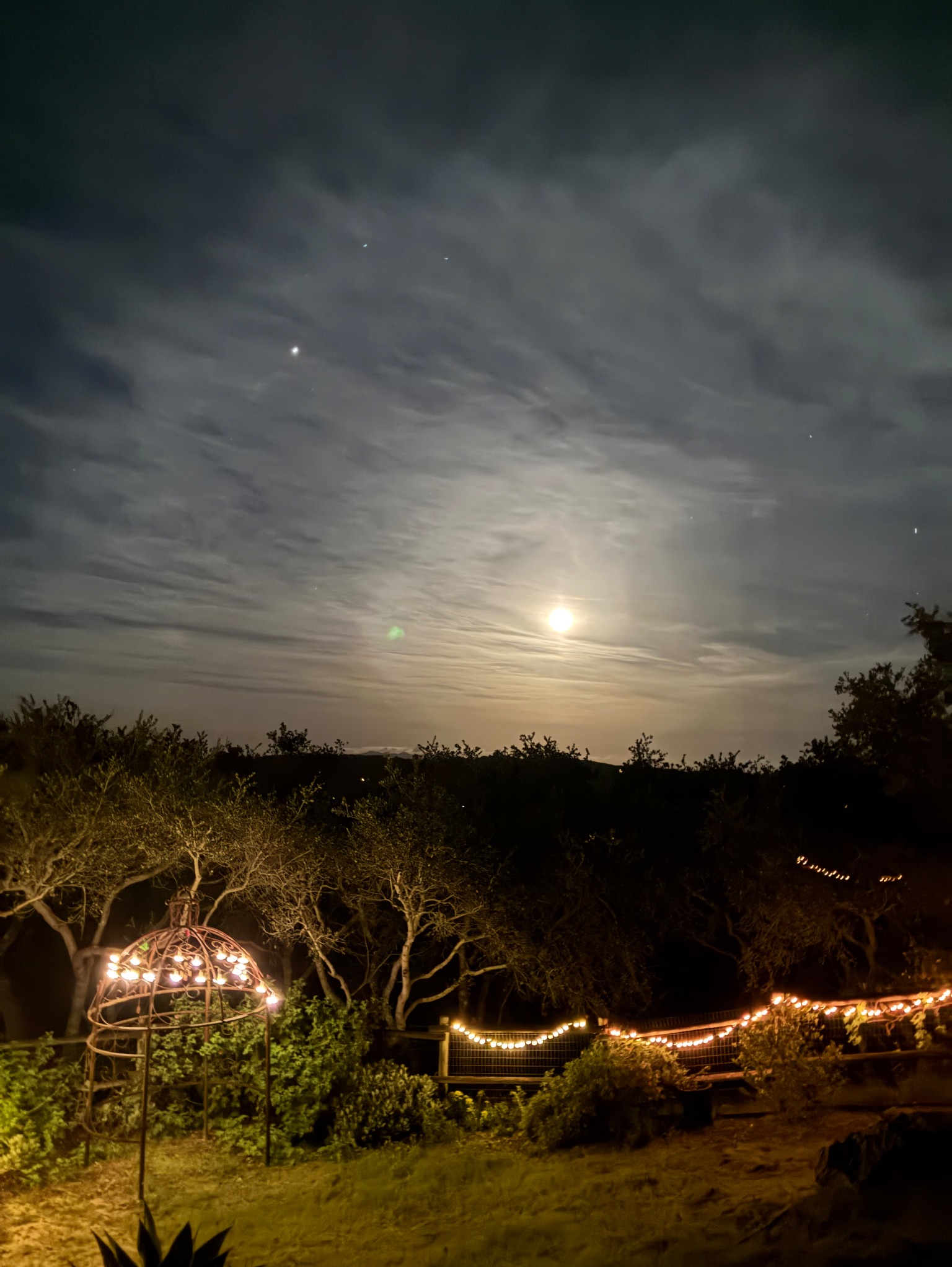 Community photo by michelle