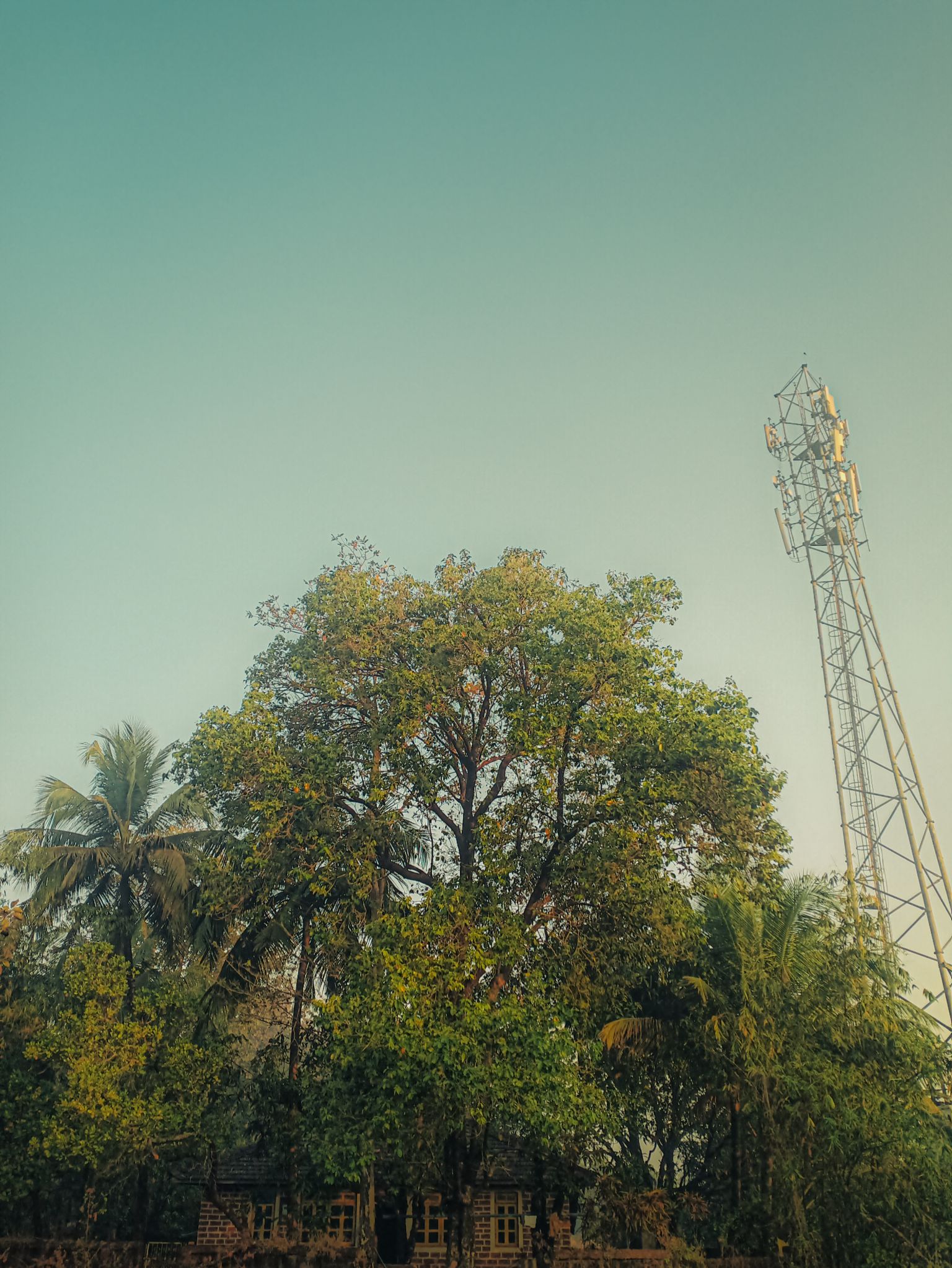 Community photo by Aayan