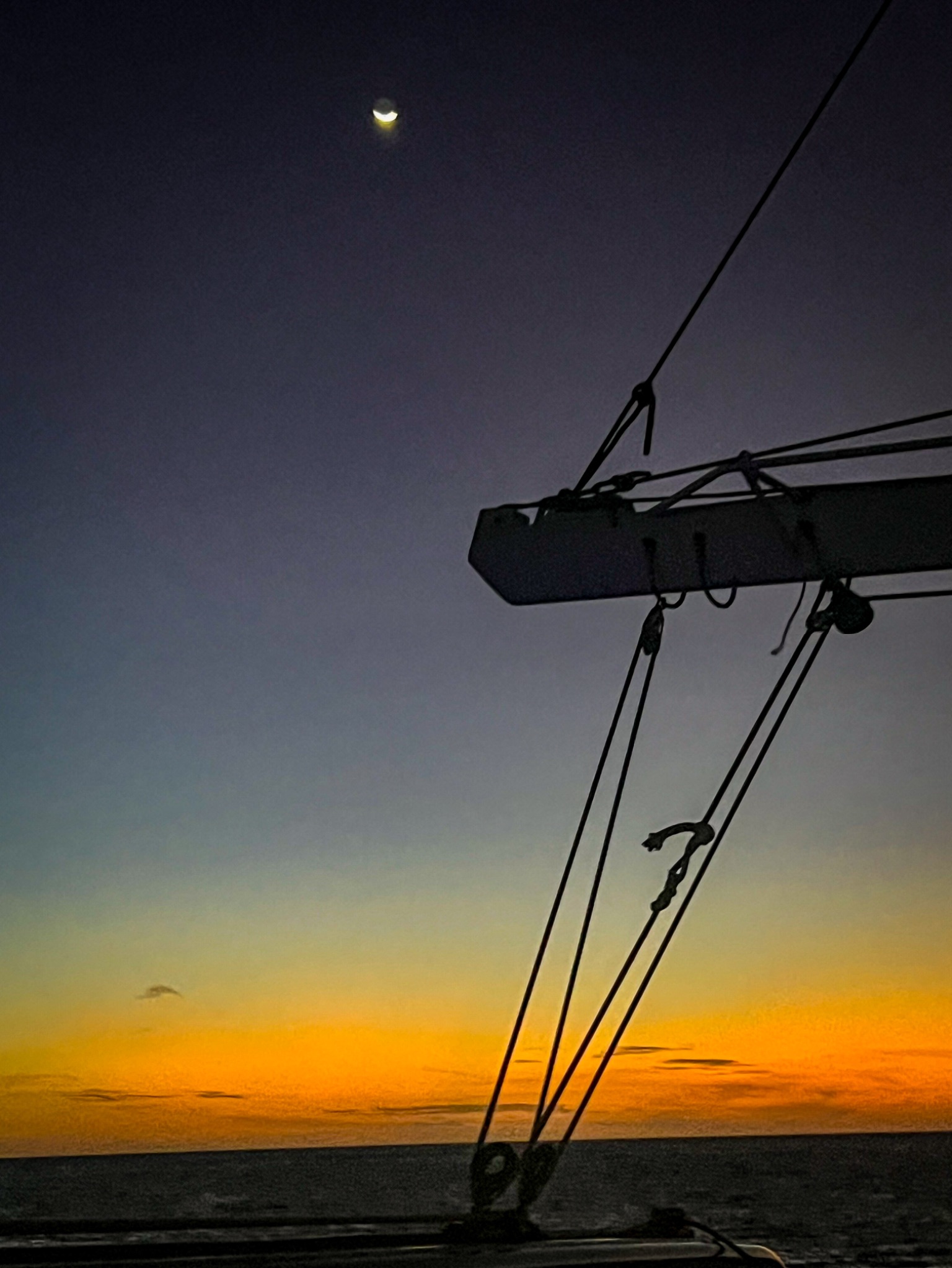 Community photo by Stephen Montag | ArubA