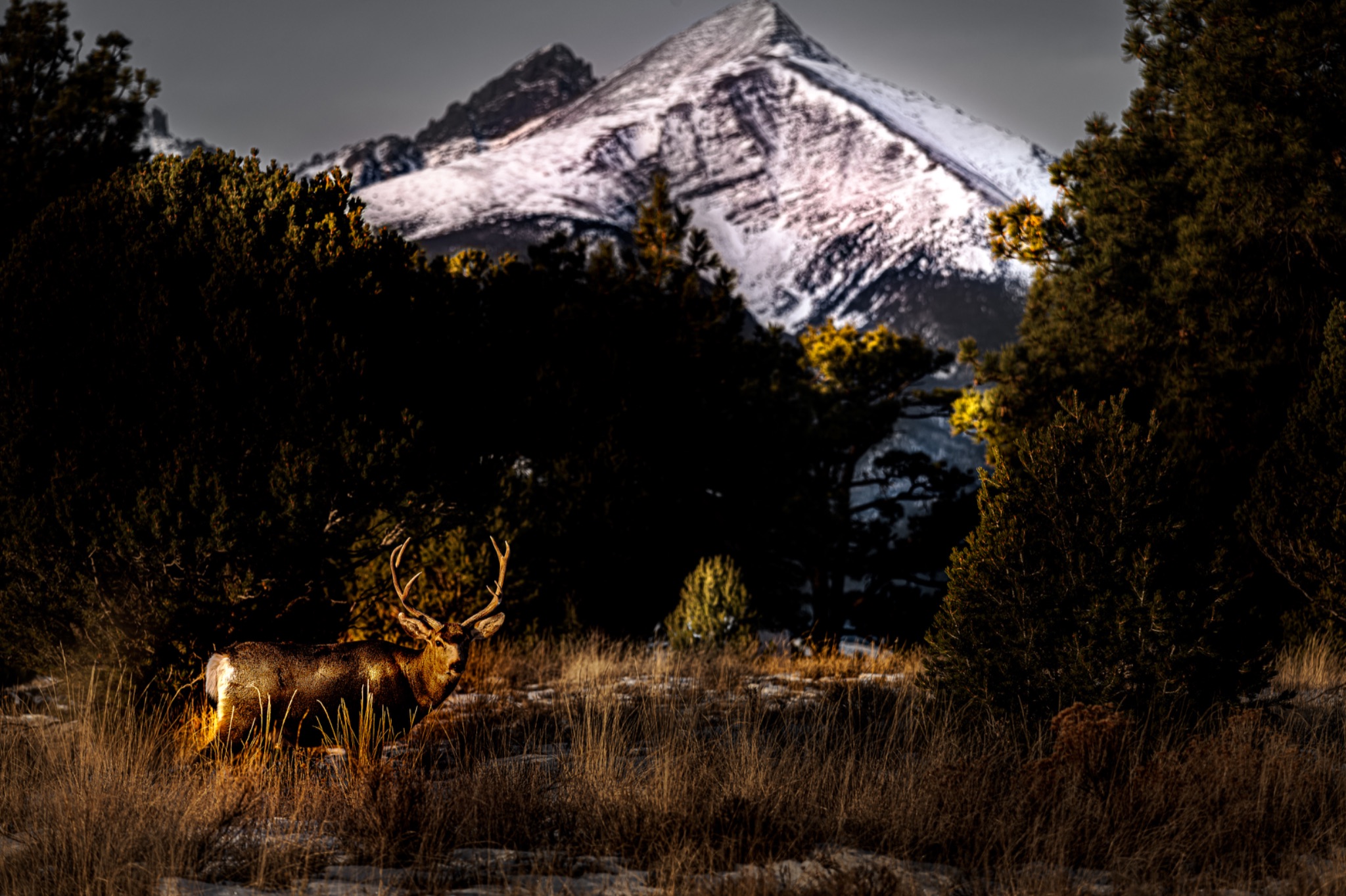 Community photo by Christoph Stopka | Wet Mountain Valley, Colorado.   USA