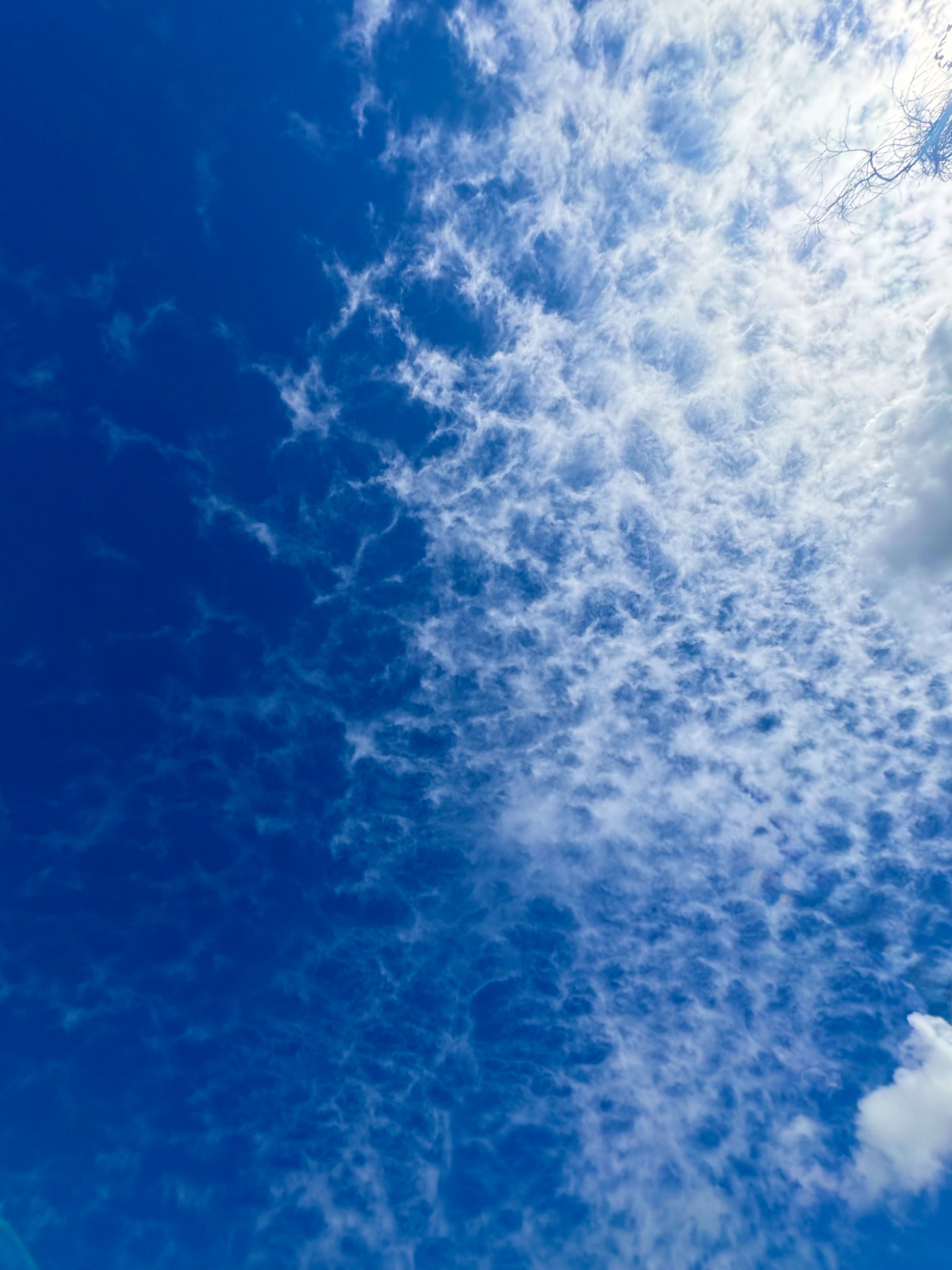 Community photo by Grace