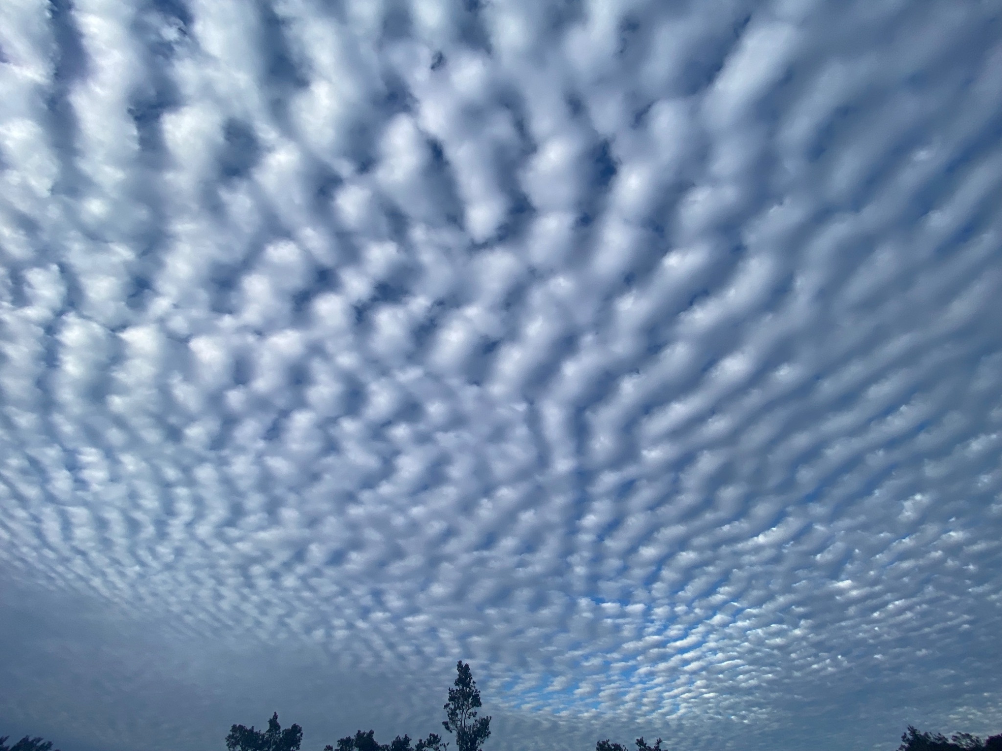 Community photo entitled Waves in the sky by Christine Inserra on 01/01/2026 at Hawaii