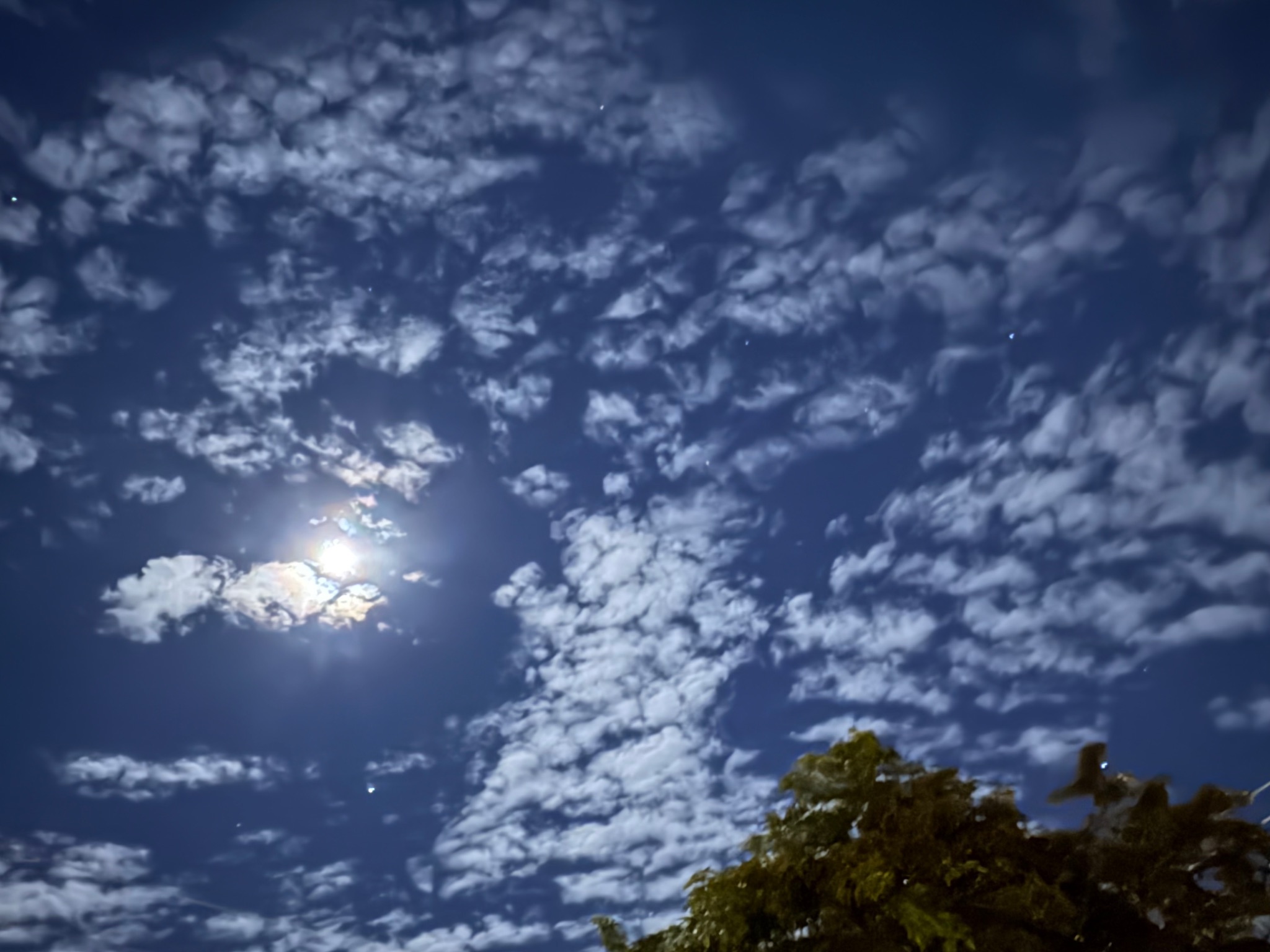 Community photo by Nancy