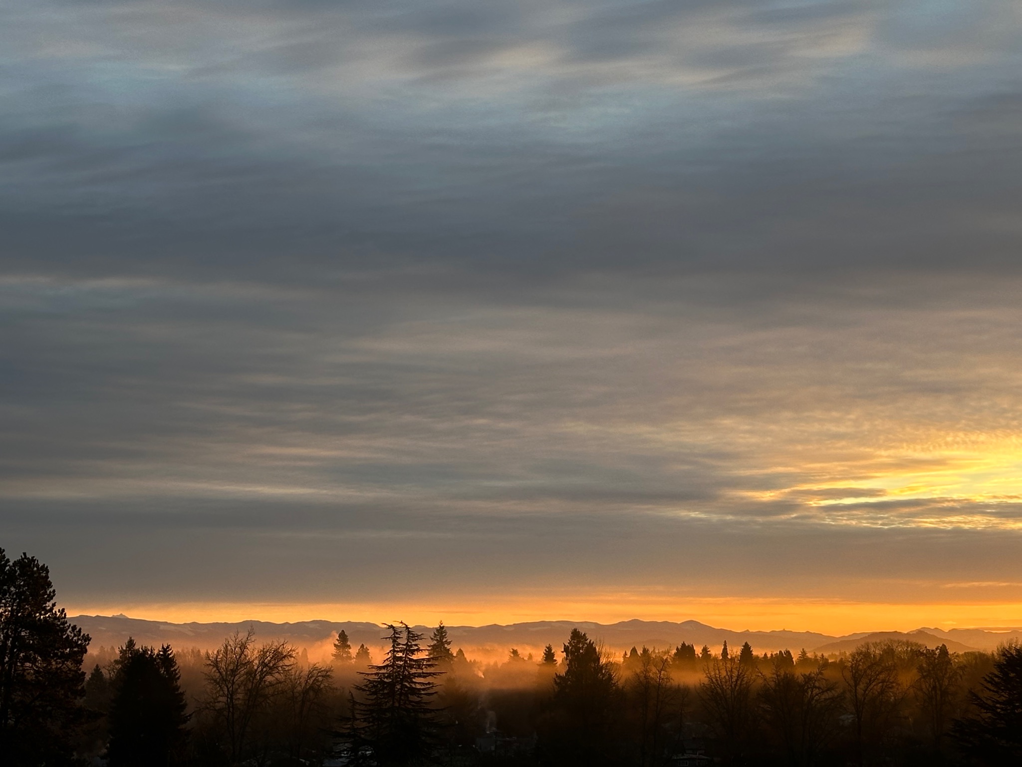 Community photo entitled  by Victoria Bryhan on 01/09/2026 at Corvallis, Oregon