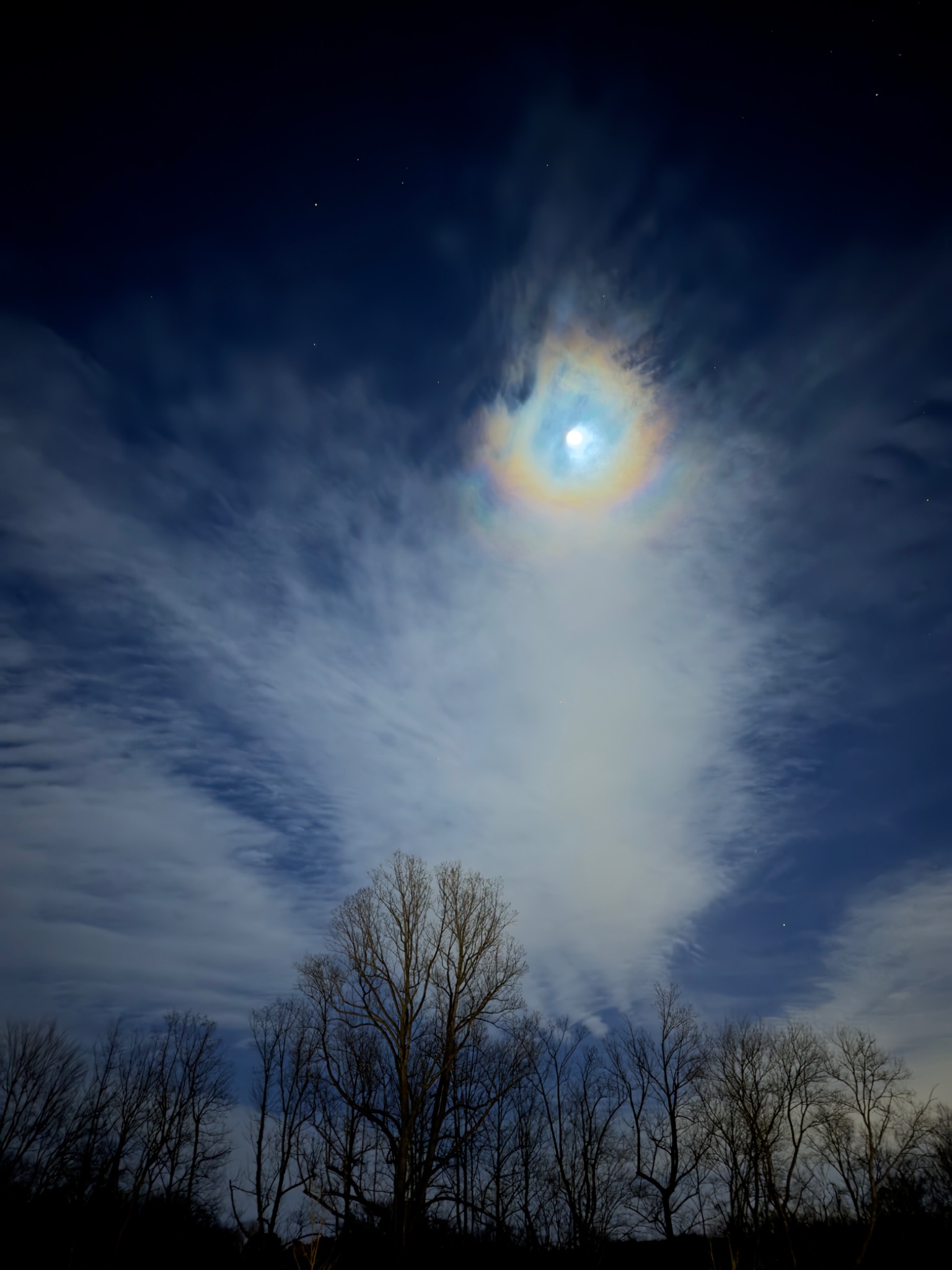 Community photo by Roberto Adam | Winston-Salem, NC