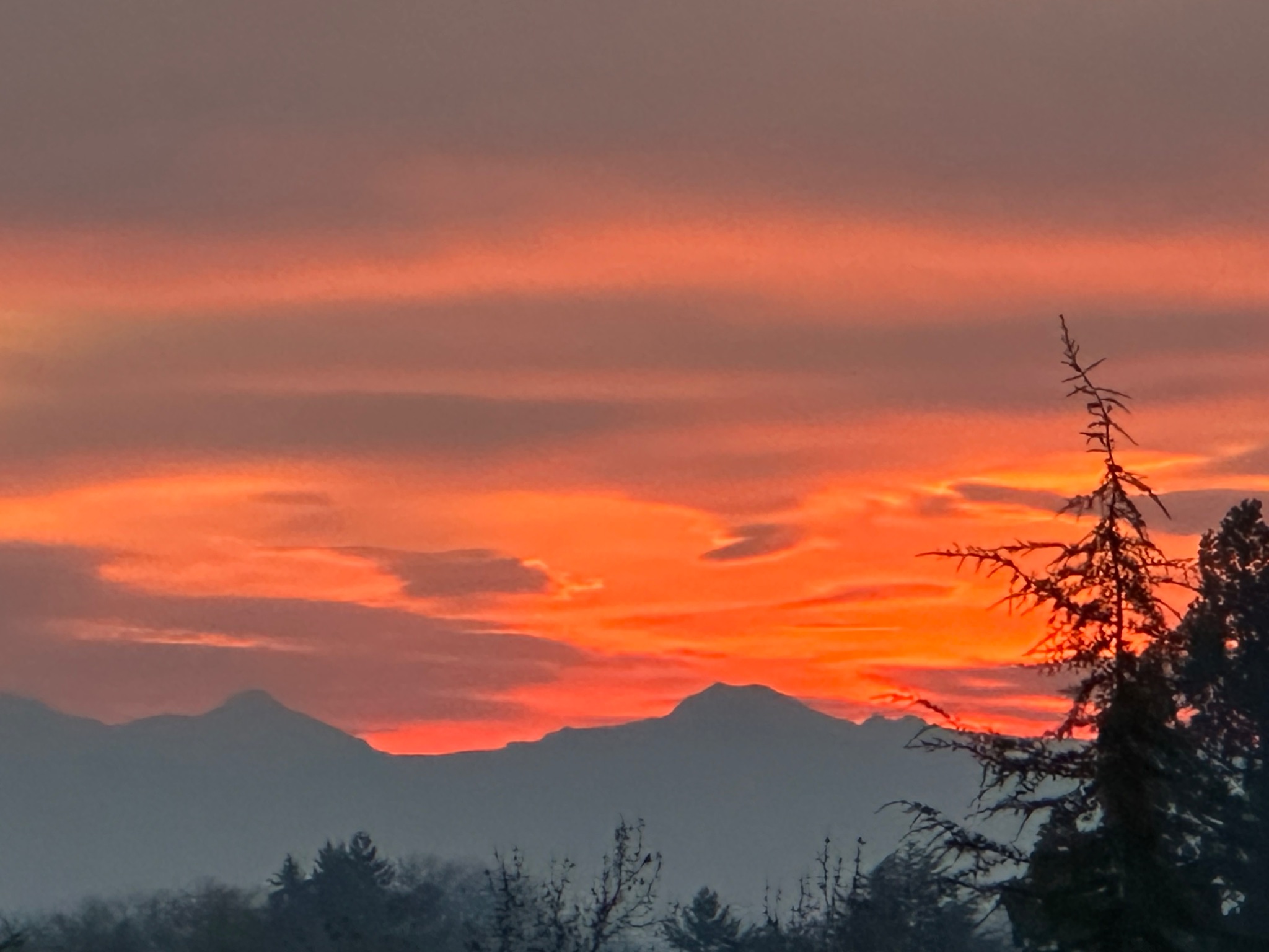 Community photo by Victoria Bryhan | Corvallis, Oregon