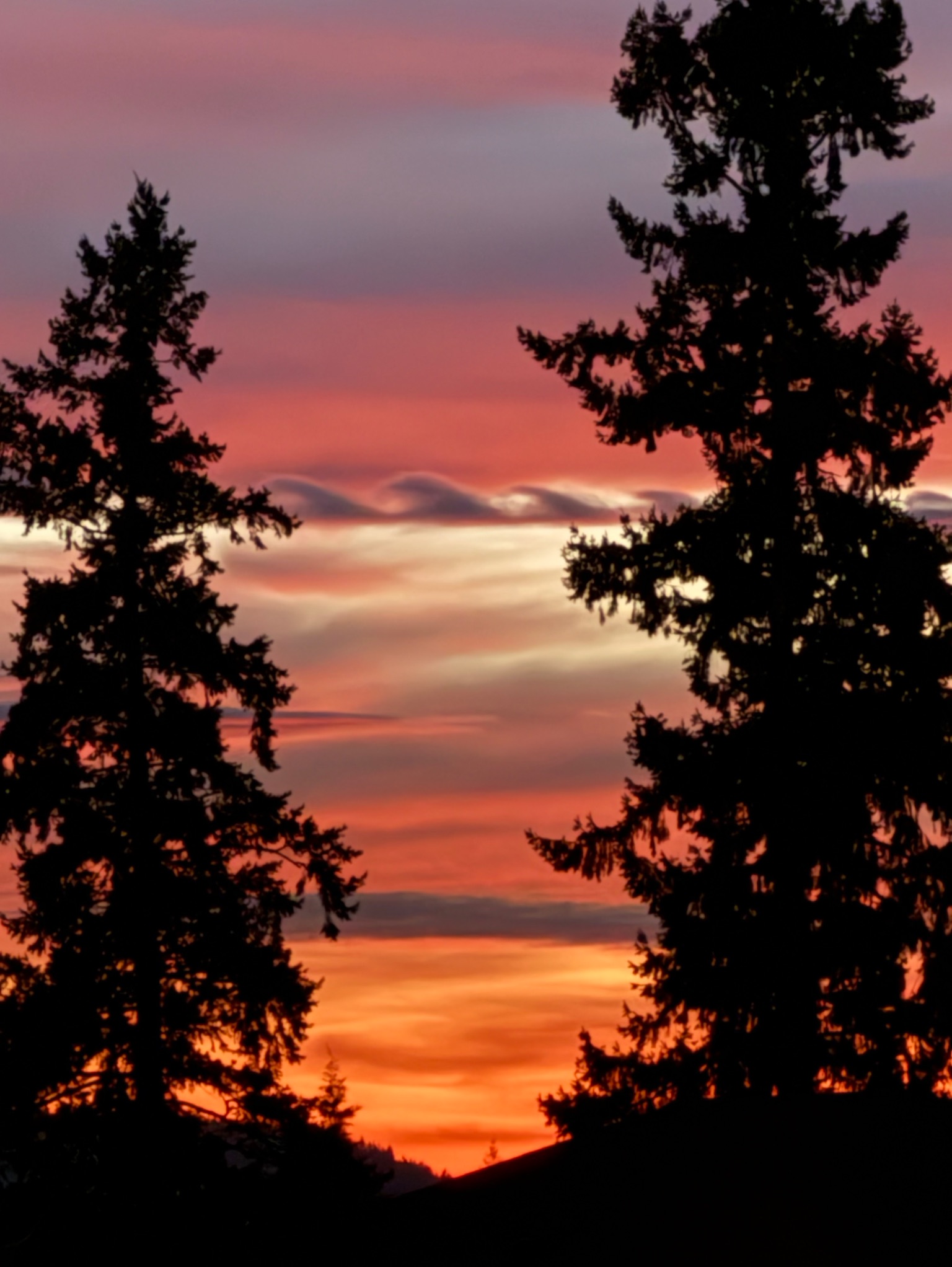 Community photo by Patti