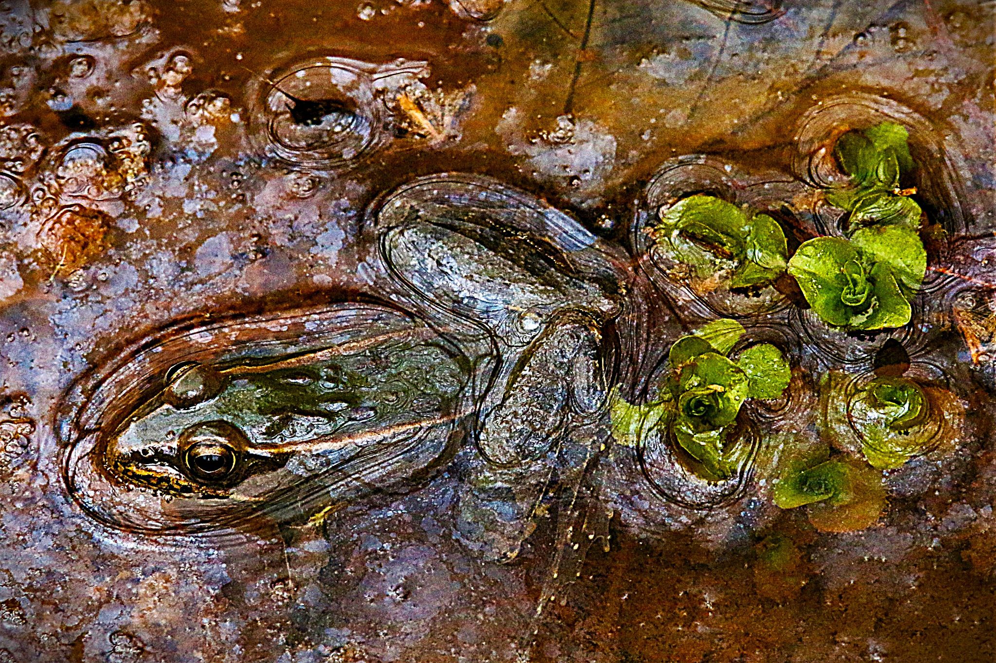 Community photo by Bill Kozar | Nashville, Indiana. USA