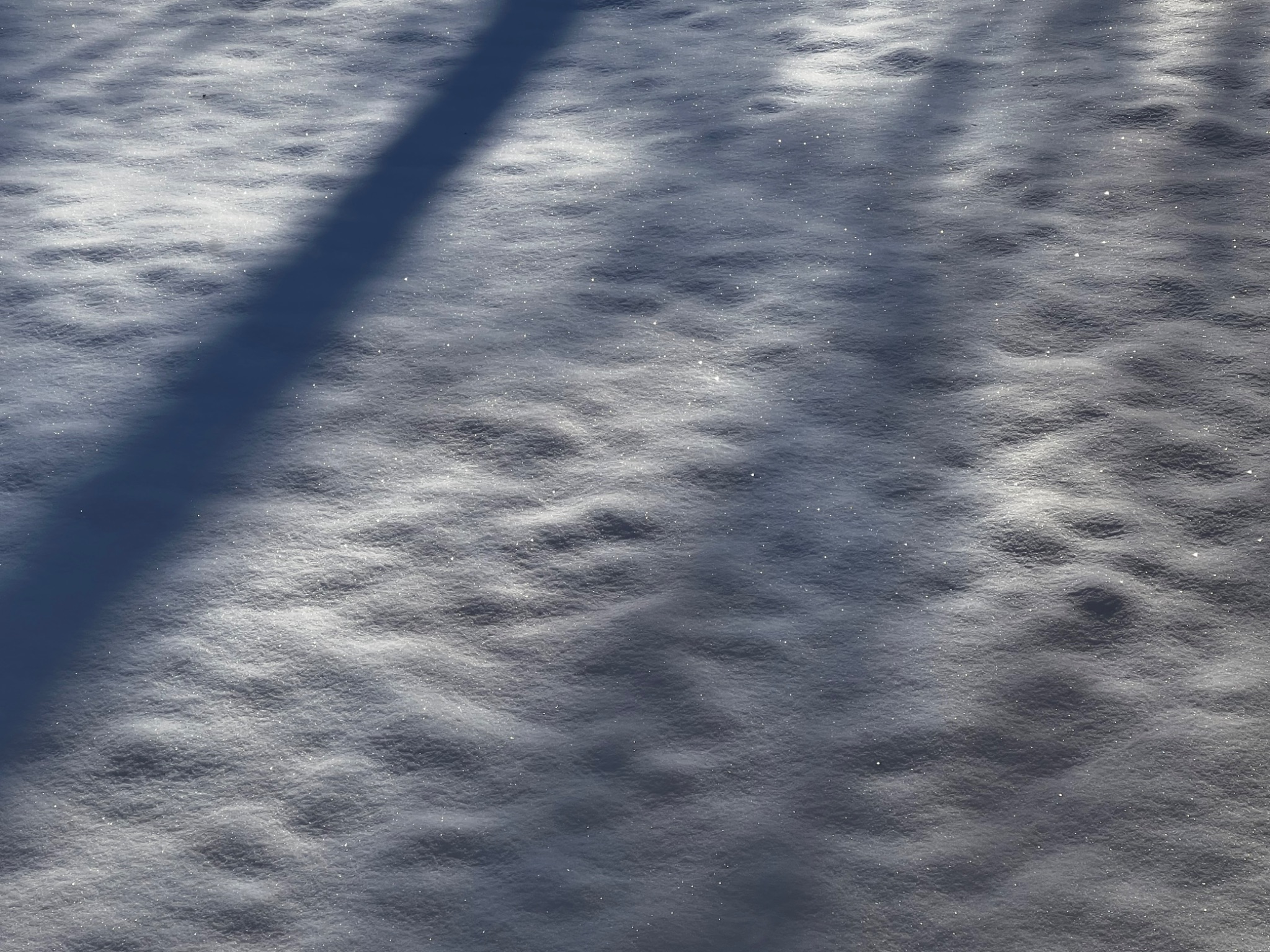 Community photo by Sudhir