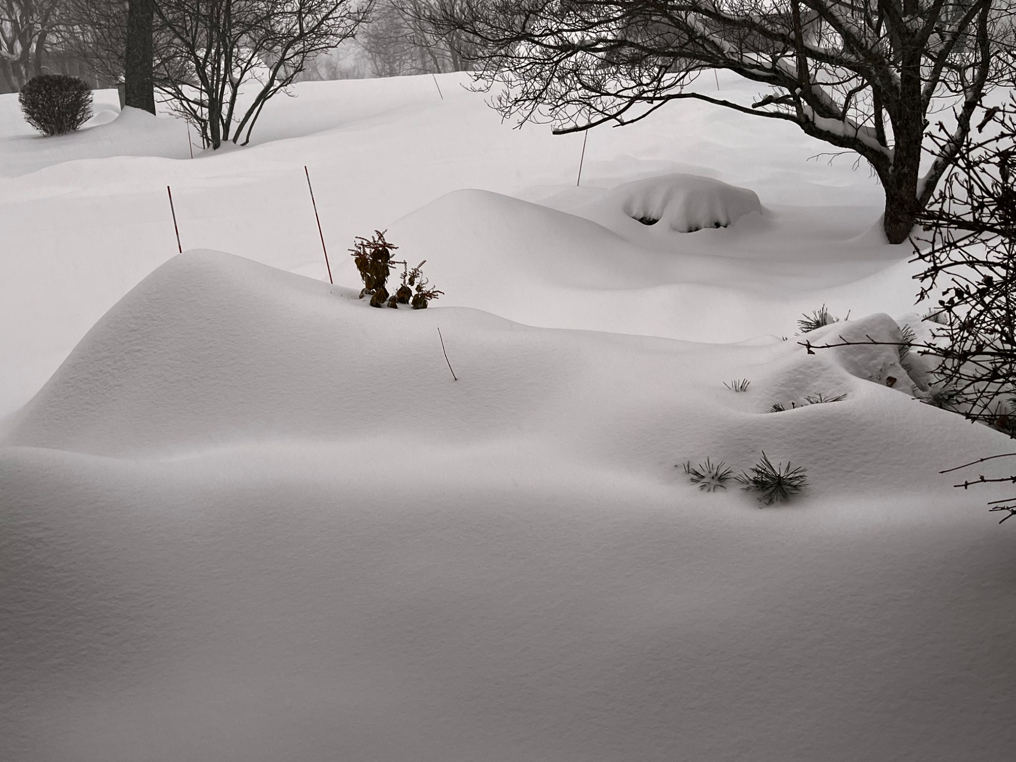 Community photo by Sudhir