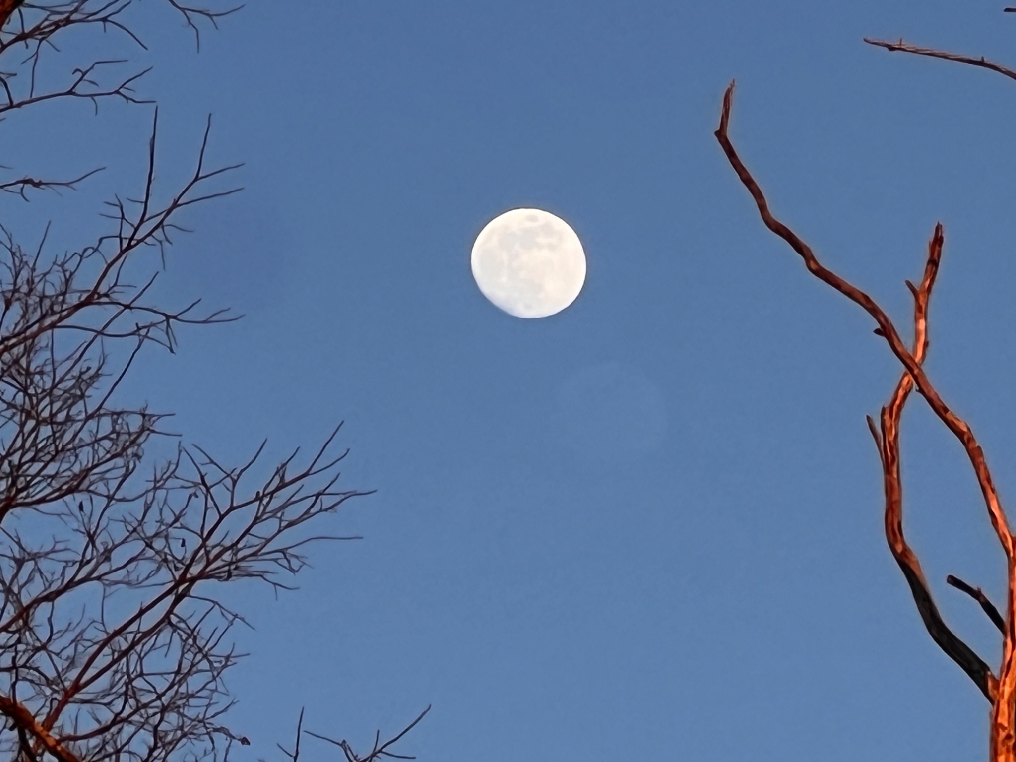 Community photo by Sudhir