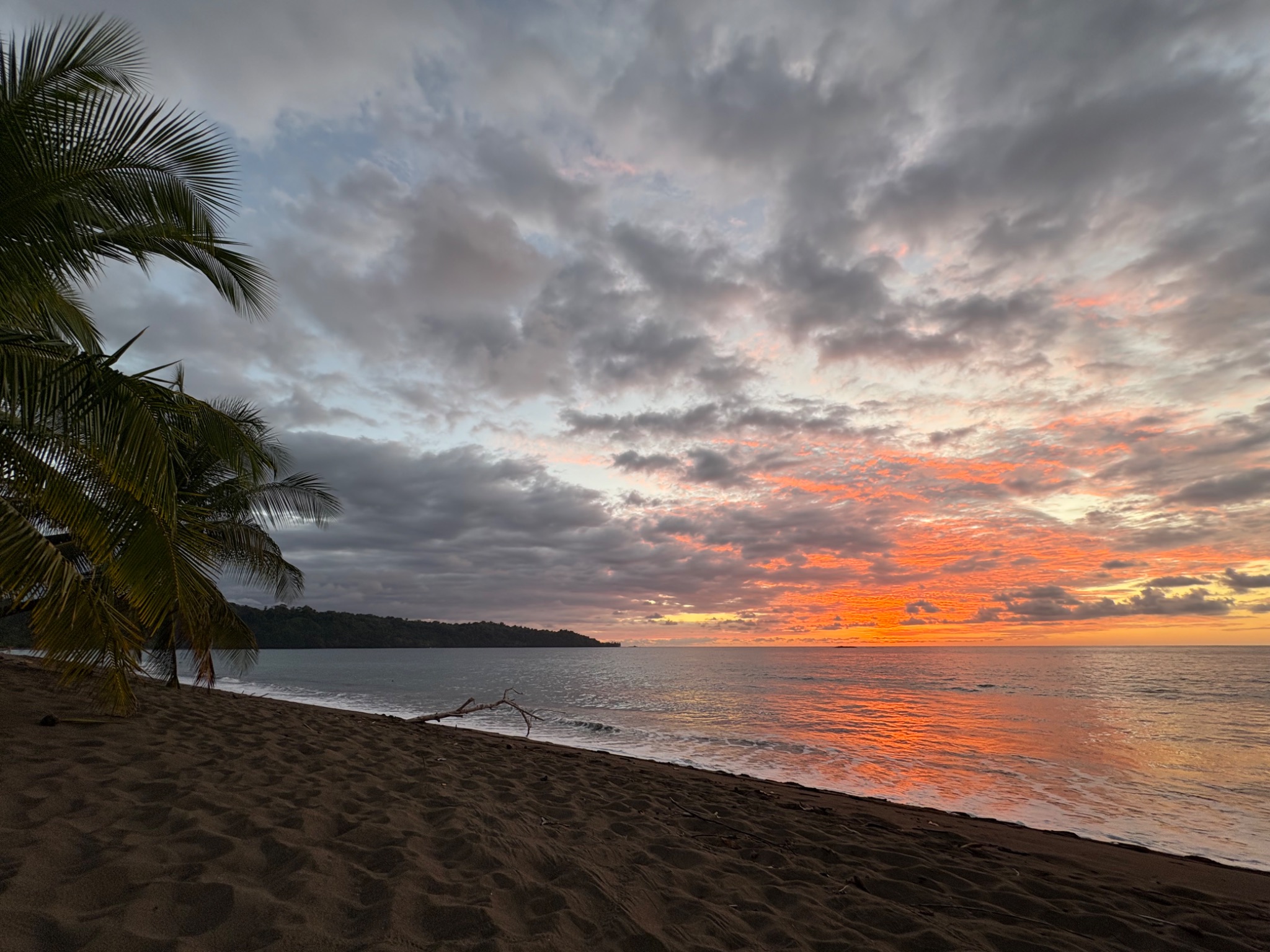 Community photo by Himanshu Patel | Corcovado National Park, Costa Rica