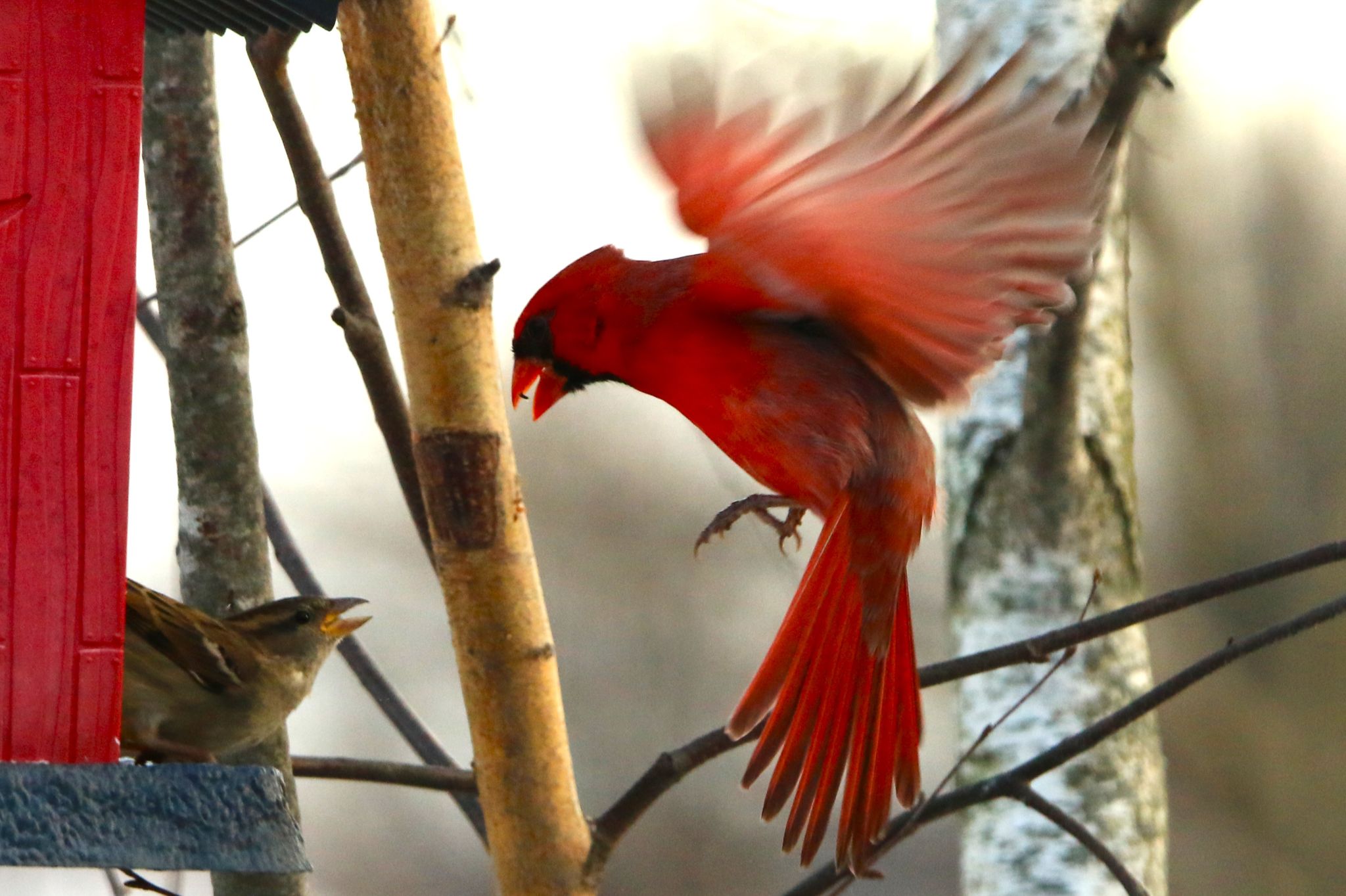 Community photo by Bill Kozar | Taylorsville, Indiana. USA
