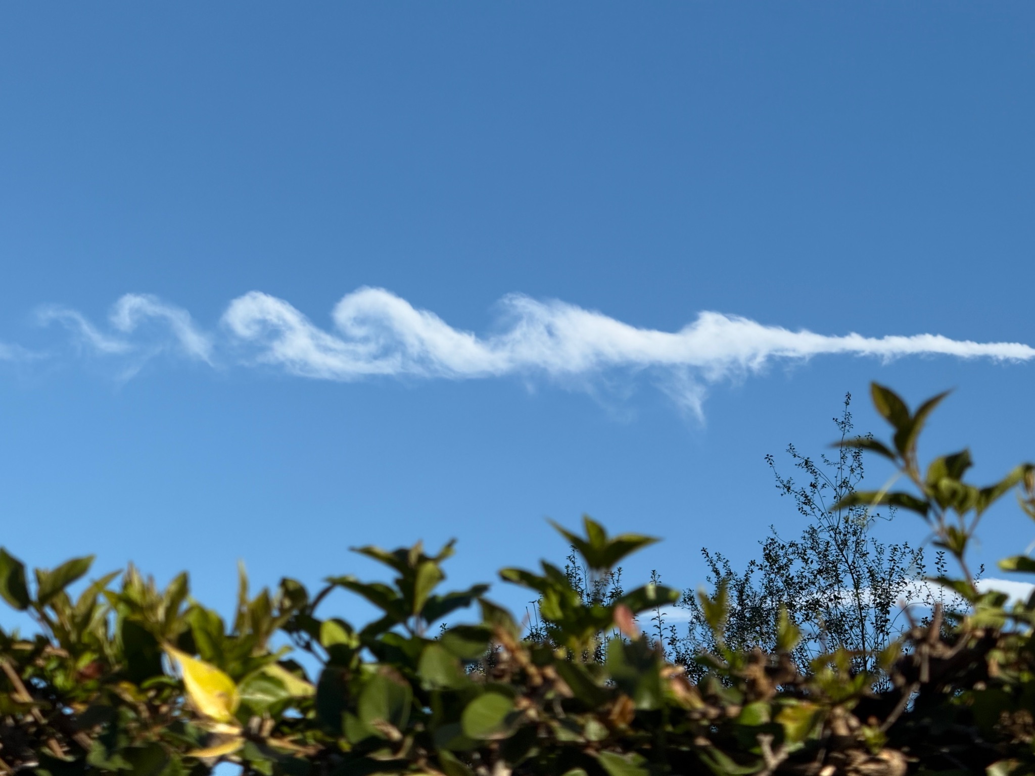 Community photo by Debbie Jacovelli | Yorba Linda, California,  USA