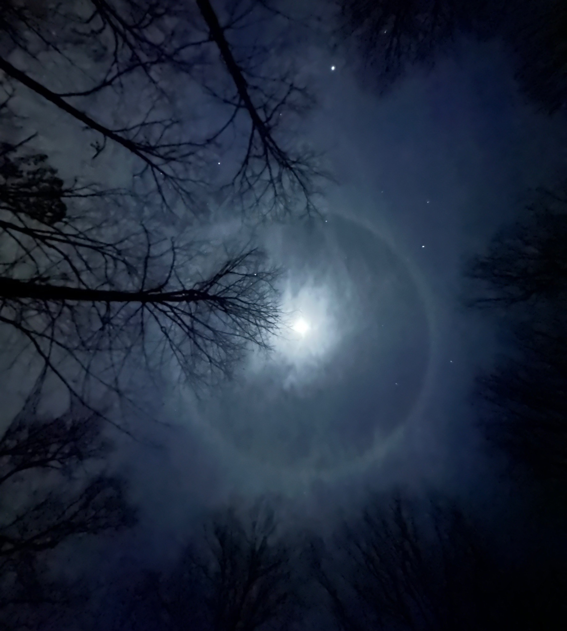 Community photo by Donna COLLINS | Backyard Warrior, AL USA