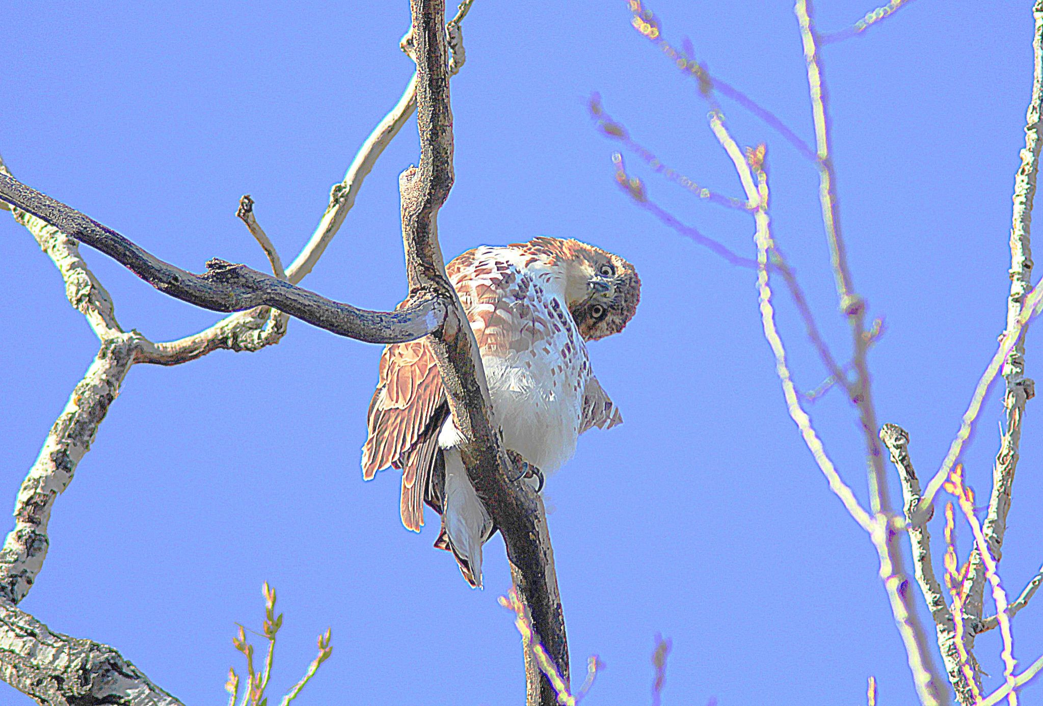 Community photo by Randy Strauss | Walnut Creek Lake, Nebraska