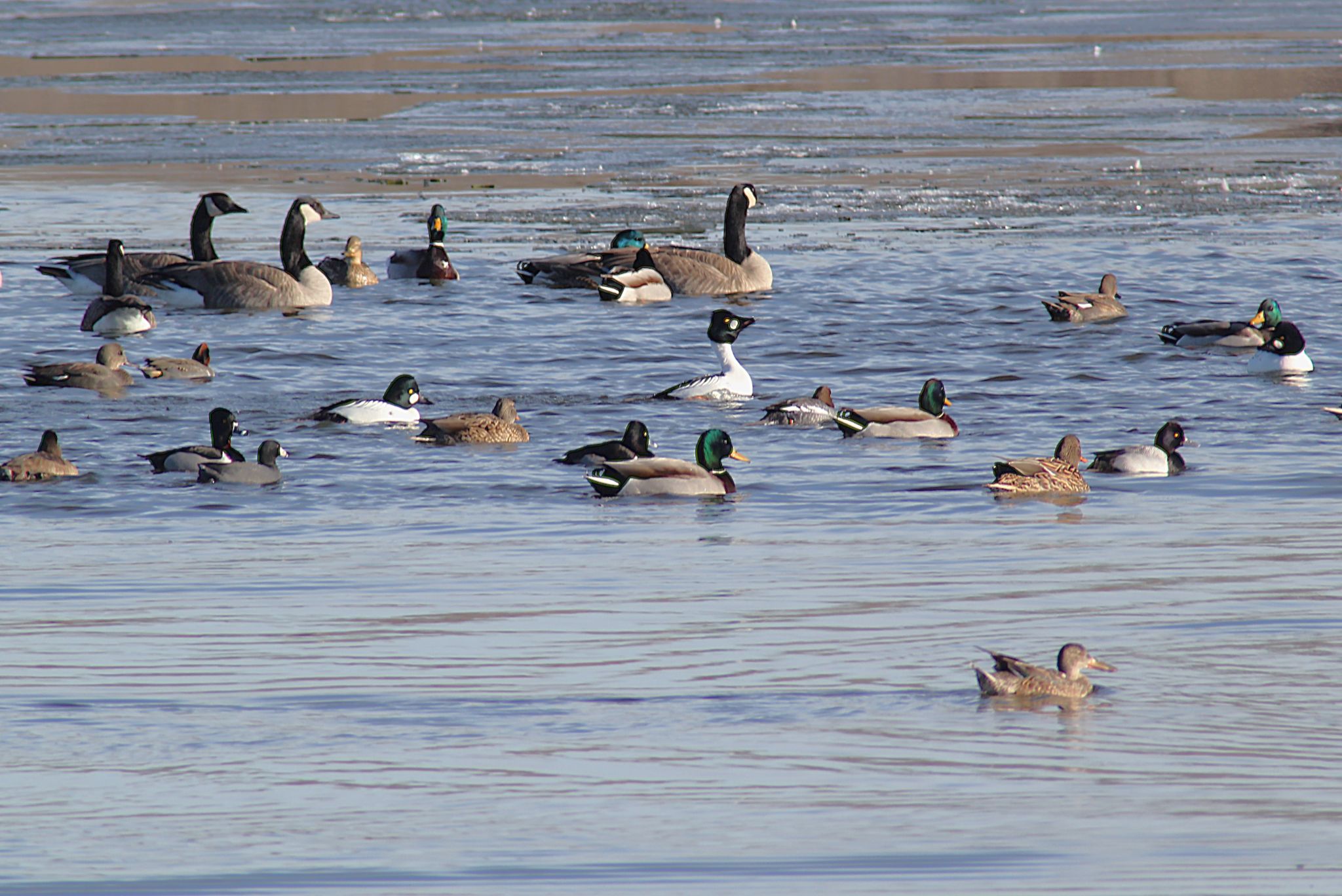 Community photo by Randy