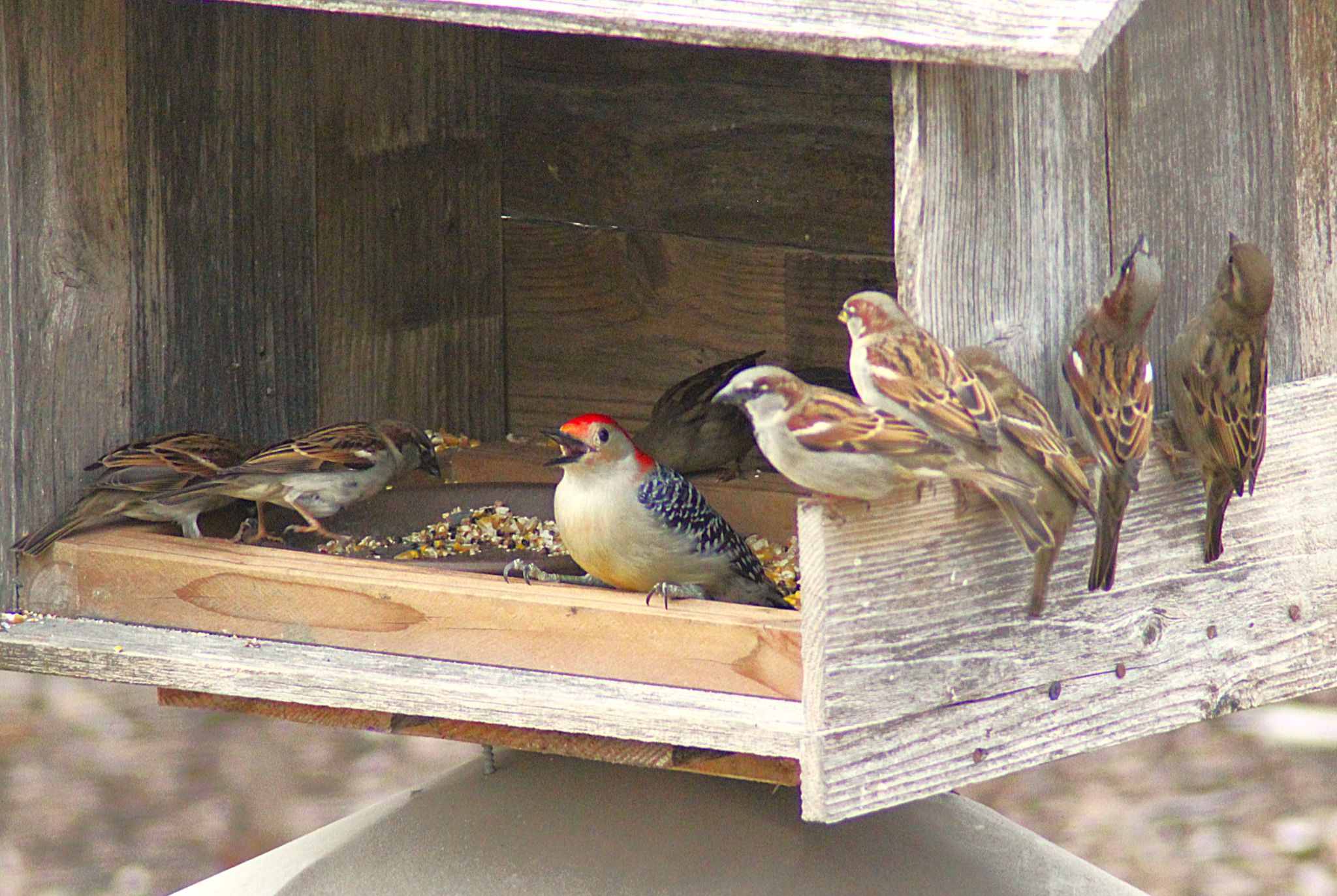 Community photo by Randy