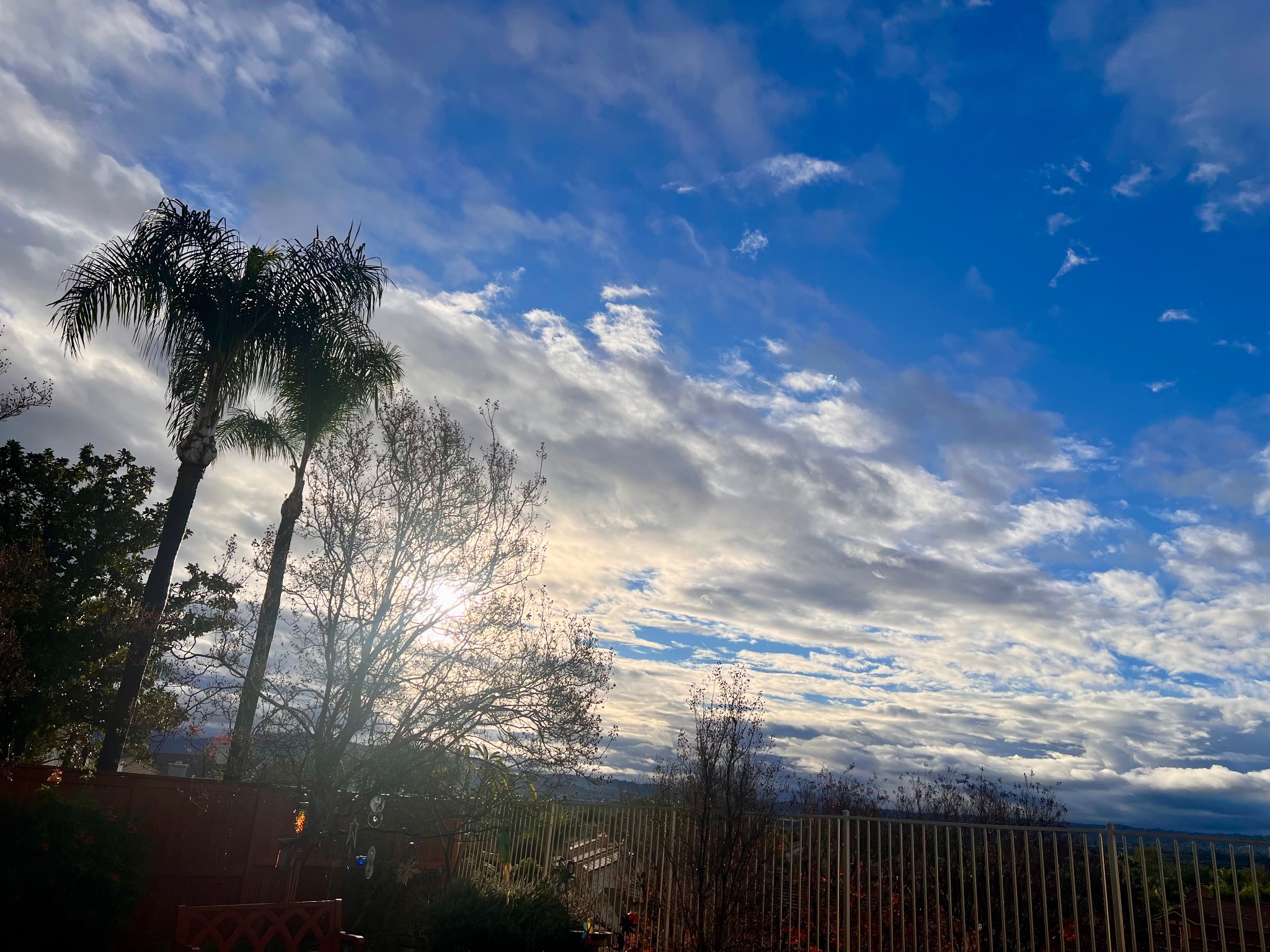 Community photo by Dolores