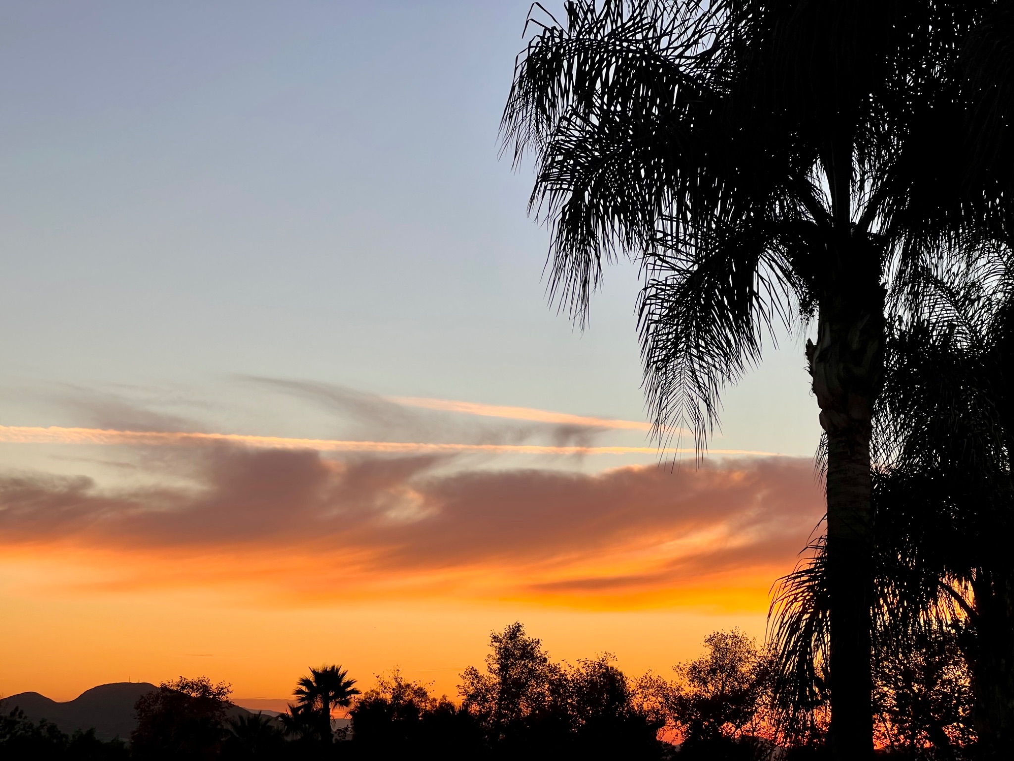 Community photo by Dolores Moreno | Highland, CA