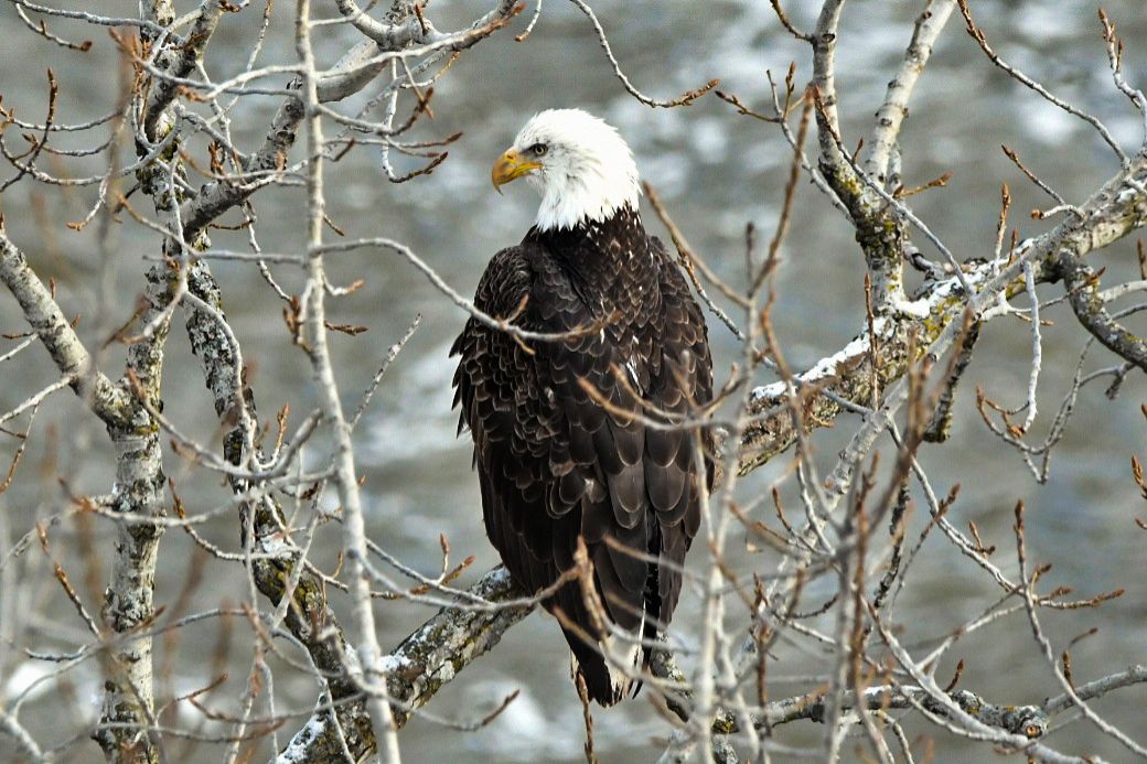 Community photo by Lorraine