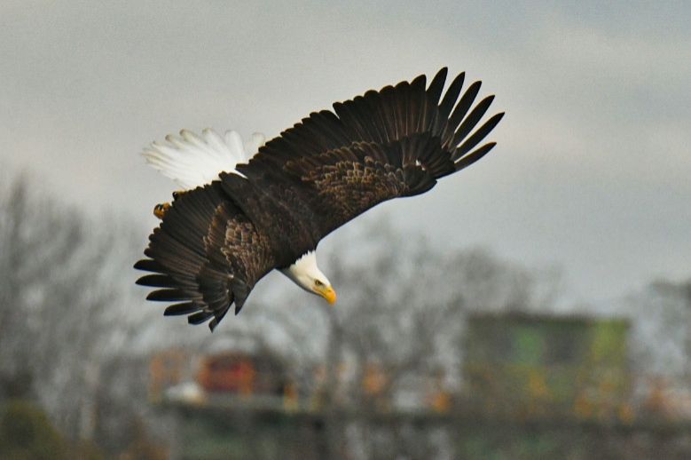 Community photo by Lorraine Boyd | Cohoes, New York