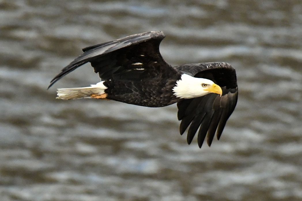 Community photo by Lorraine Boyd | Cohoes, New York