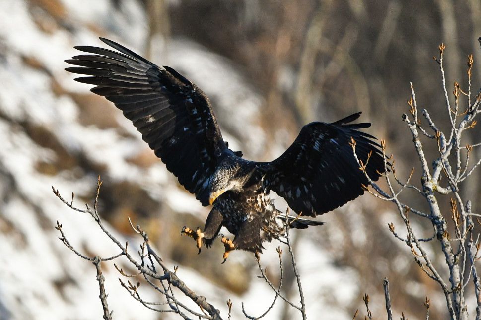 Community photo by Lorraine Boyd | Cohoes, New York