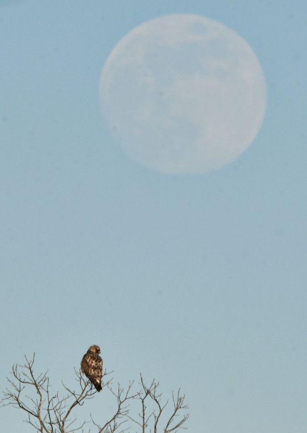Community photo by Lorraine Boyd | Fort Edward, New York