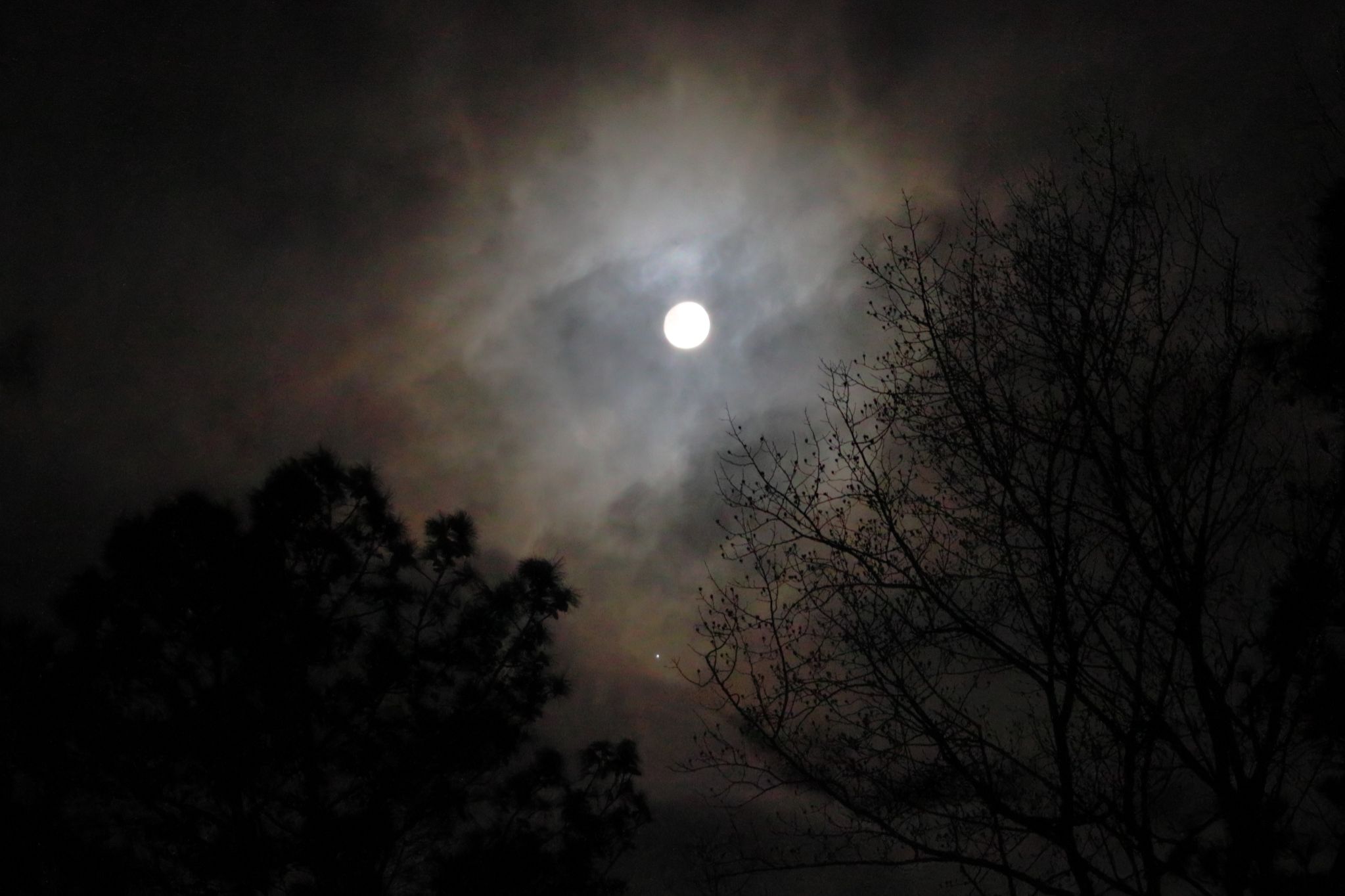 Community photo by Steven Bellavia | Smithfield, VA