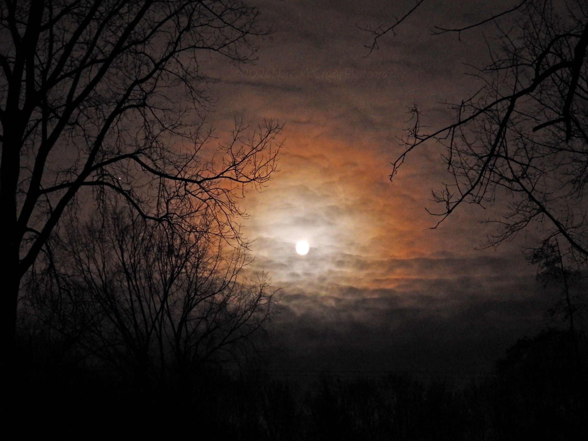 Community photo by Nanci