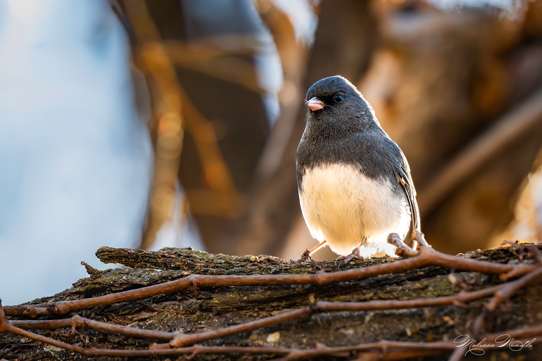 Community photo by Melissa