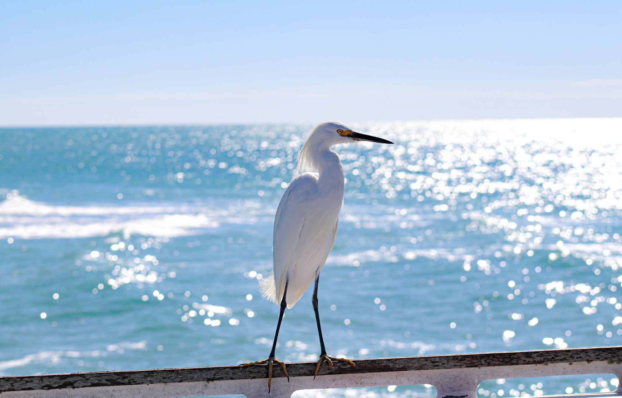 Community photo by Jean