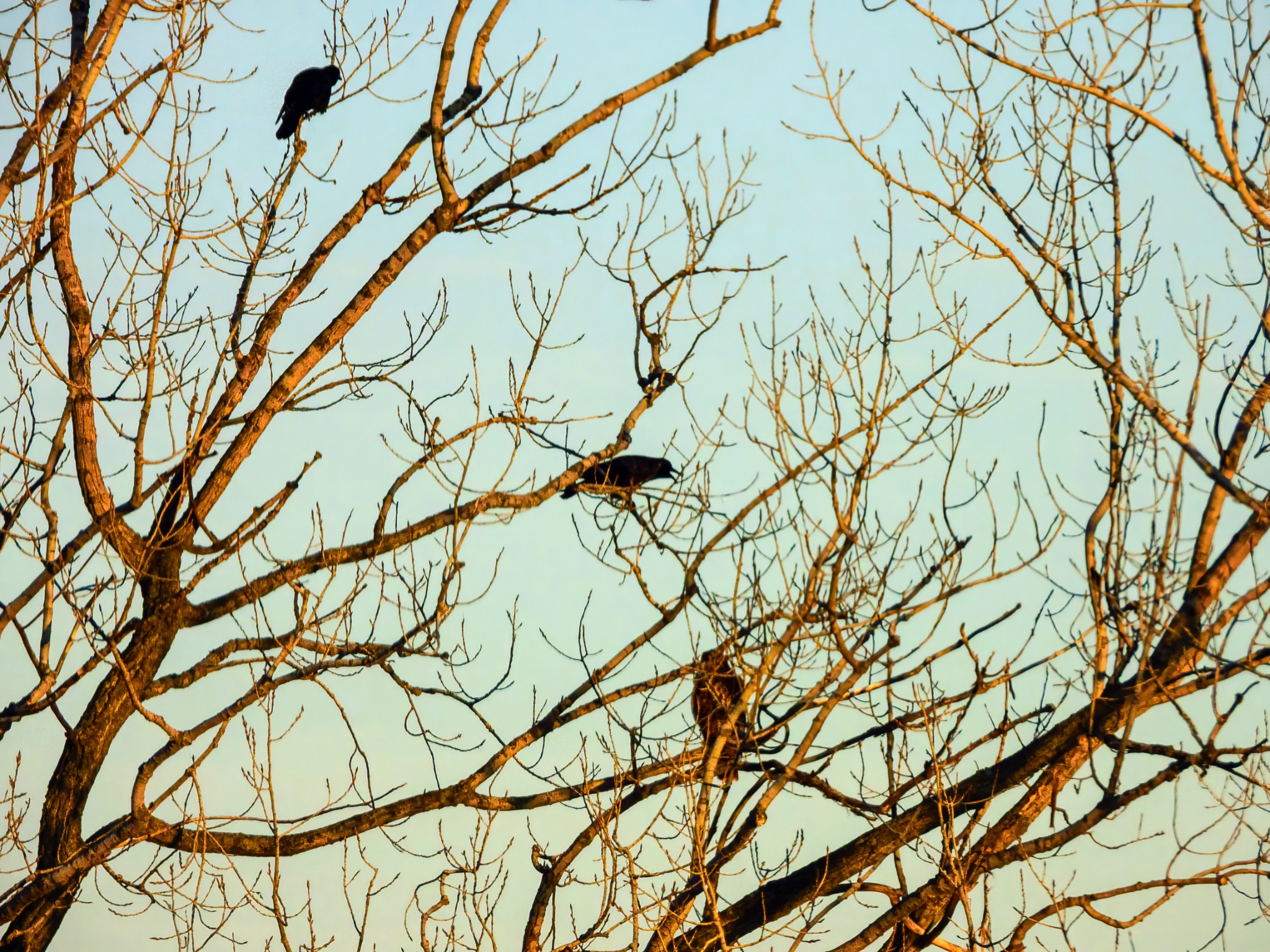 Community photo by Diane Rains | Hudson, WI, USA