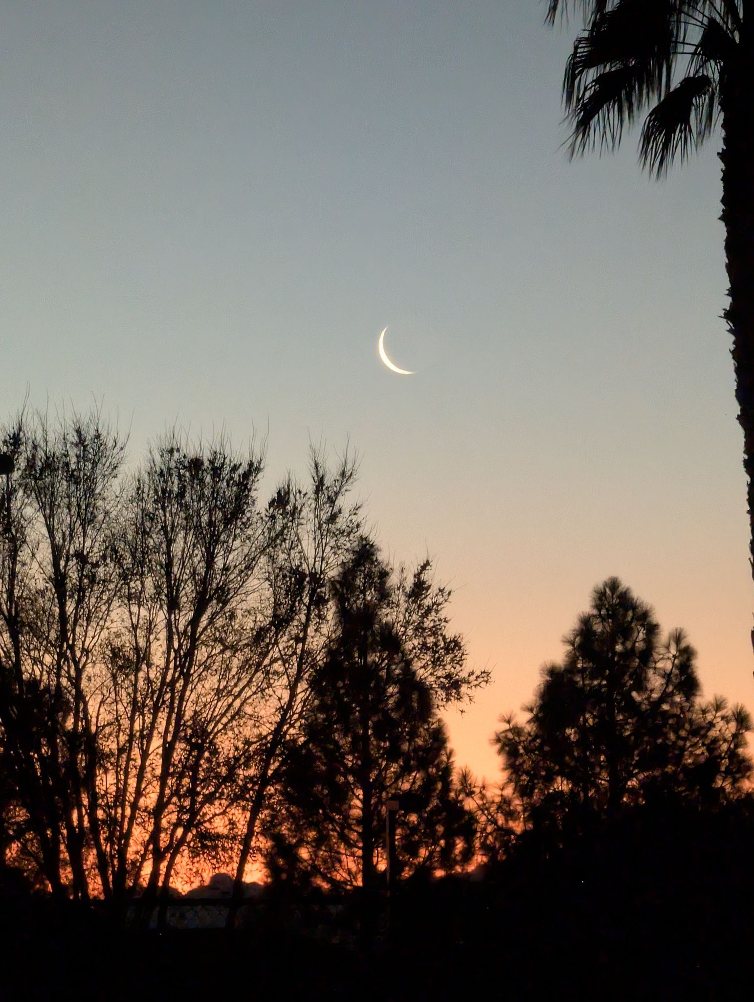 Community photo by Craig Ruark | Summerlin, Las Vegas, Nevada