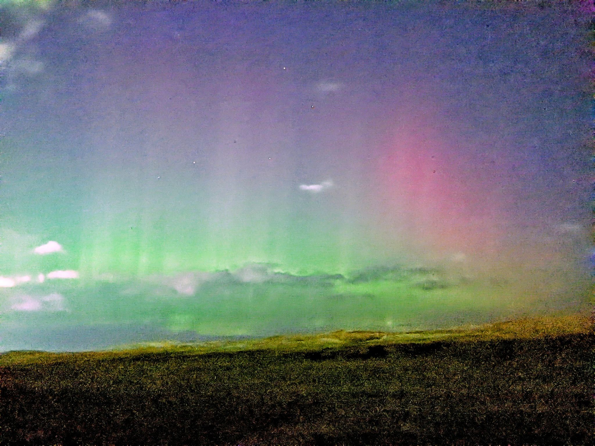 Community photo by Kevan Hubbard | Teesmouth Nature Reserve,Co Durham ,England .