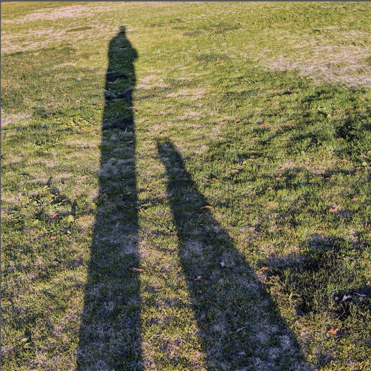 Community photo by Craig