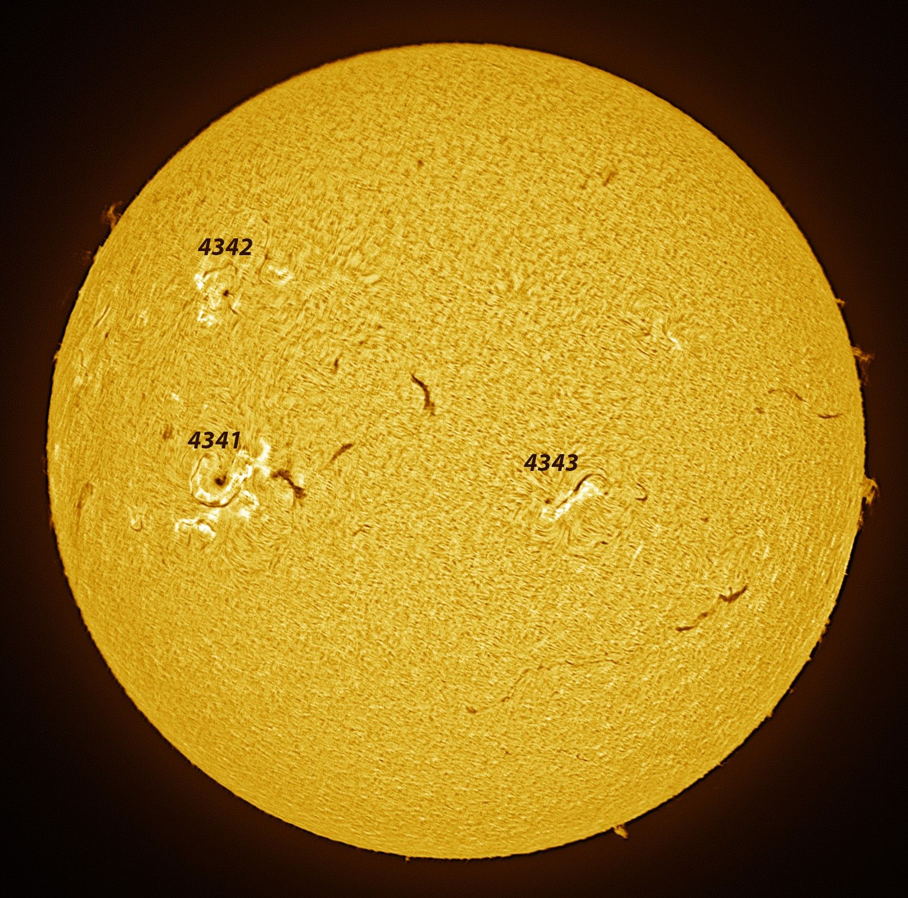 Community photo by Jim Militello | Tucson, Arizona  USA