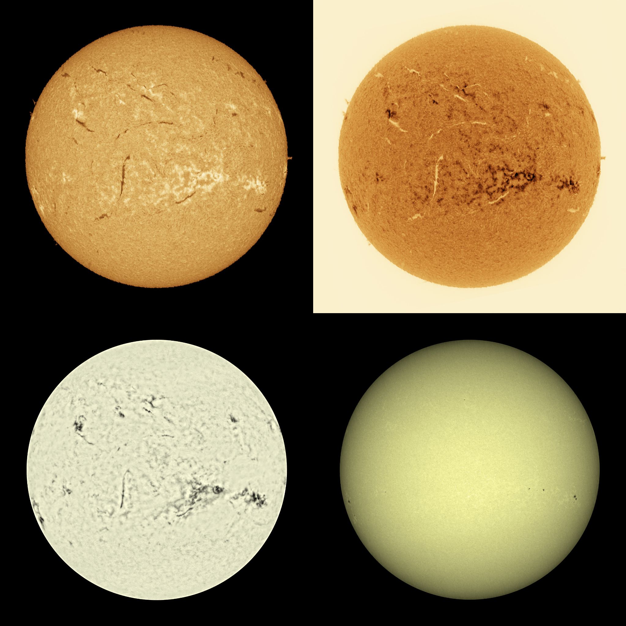 Community photo by Mario