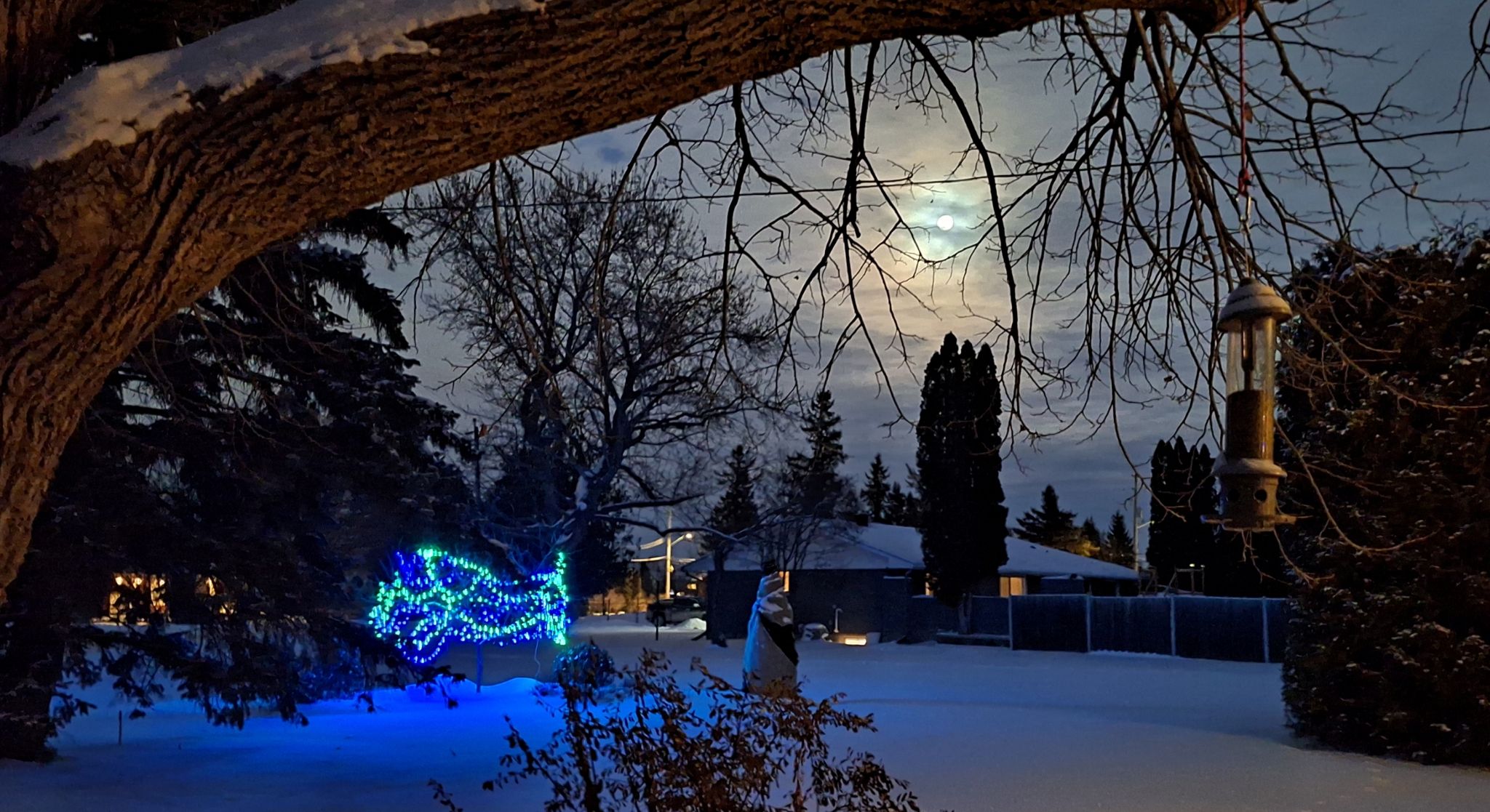 Community photo by David