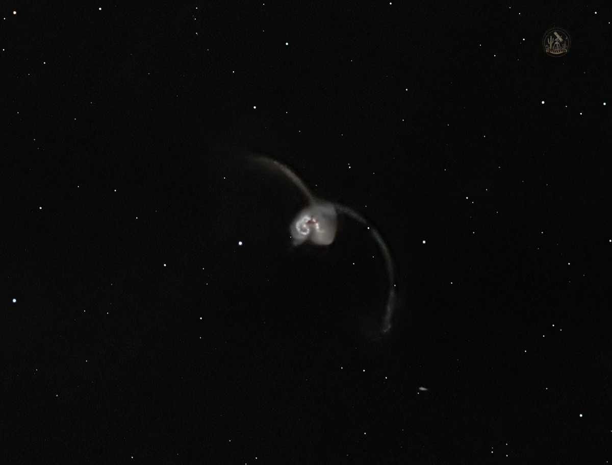 Community photo by Jelieta Walinski Ph.D | Desert Bloom Observatory, AZ, USA