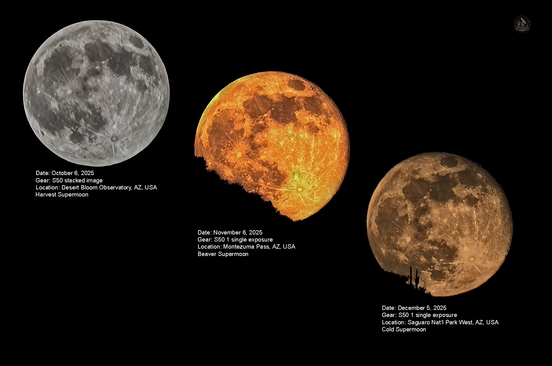 Community photo entitled When the Moon Learned the Shape of Earth by Jelieta Walinski Ph.D on 12/05/2025 at Desert Bloom Observatory, Montezuma Pass, Saguaro NPW, AZ, USA