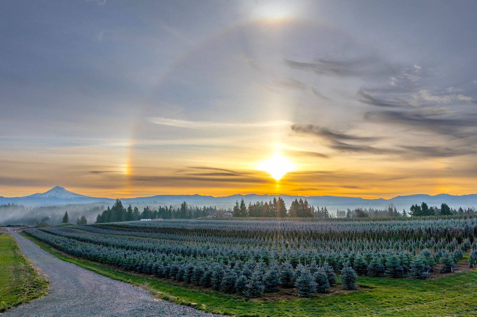 Community photo by Jarrod Lyman | Damascus, OR