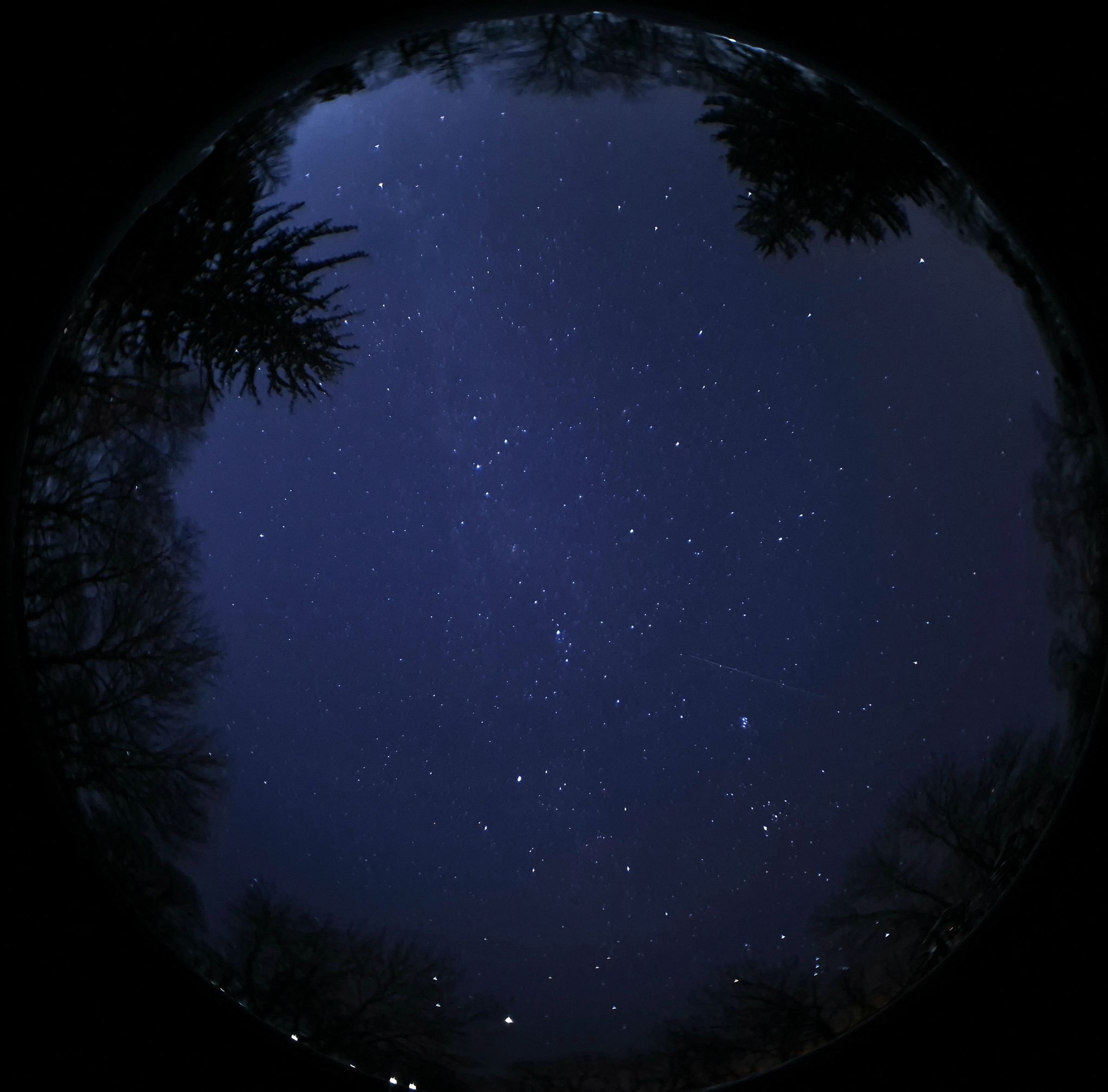 Community photo by Volodymyr Halaidiuk | Town Kaharlyk, Kyiv region, Ukraine