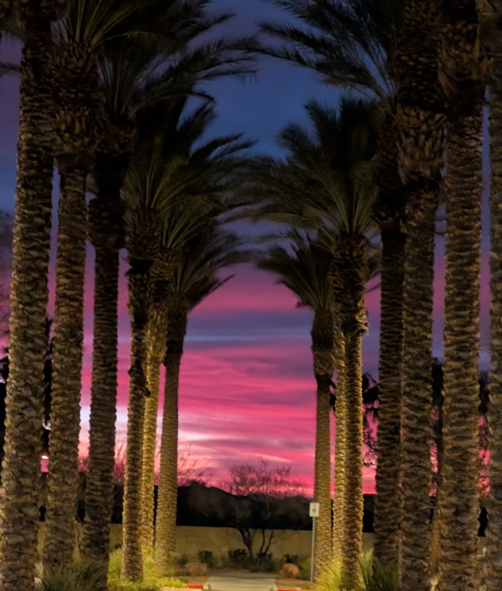 Community photo by Craig