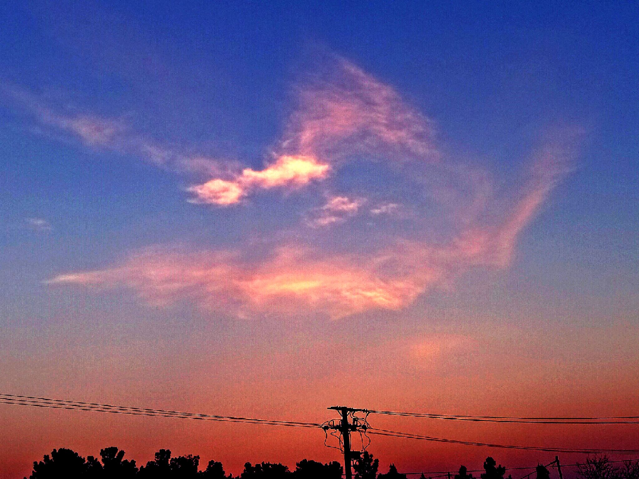 Community photo by Hassan