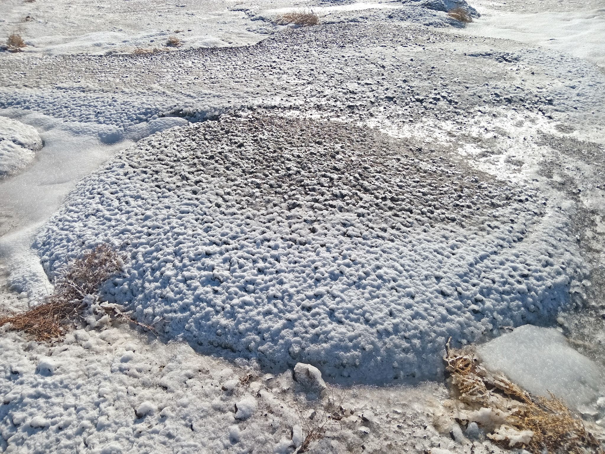 Community photo by Hassan