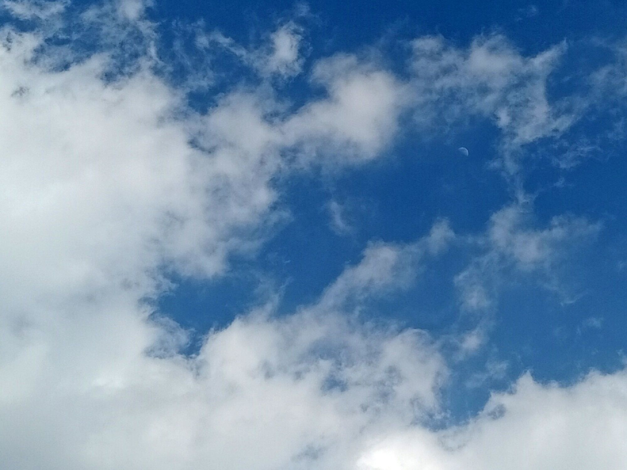 Community photo by Hassan