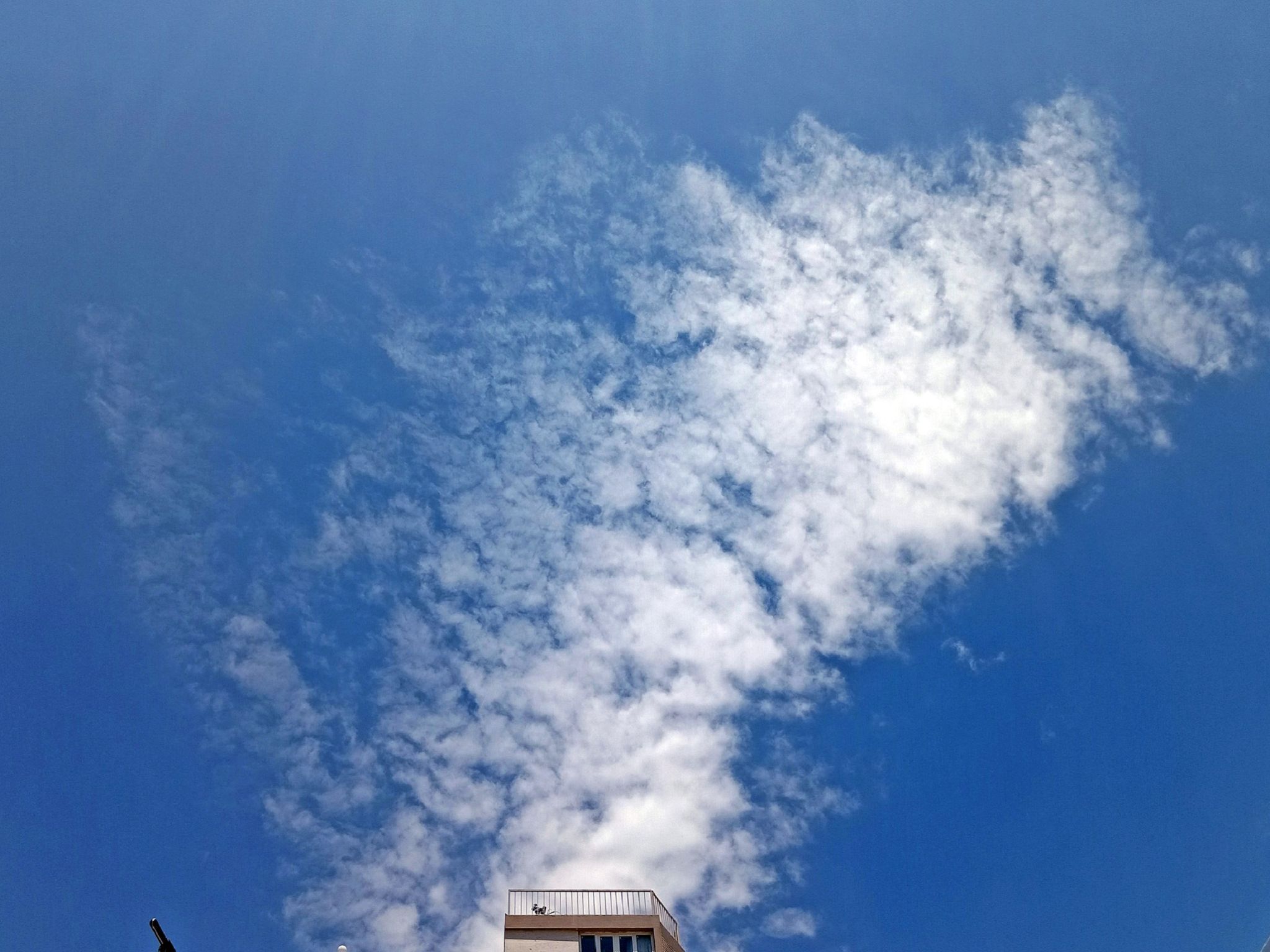 Community photo by Hassan